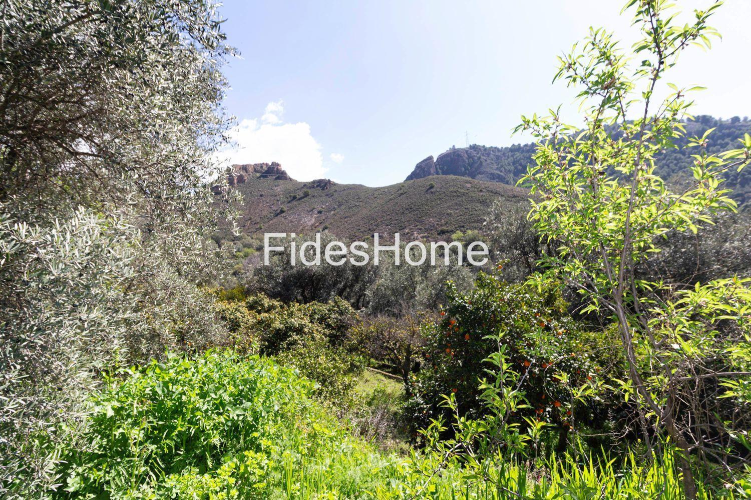 Plot for Sale in Lecrín