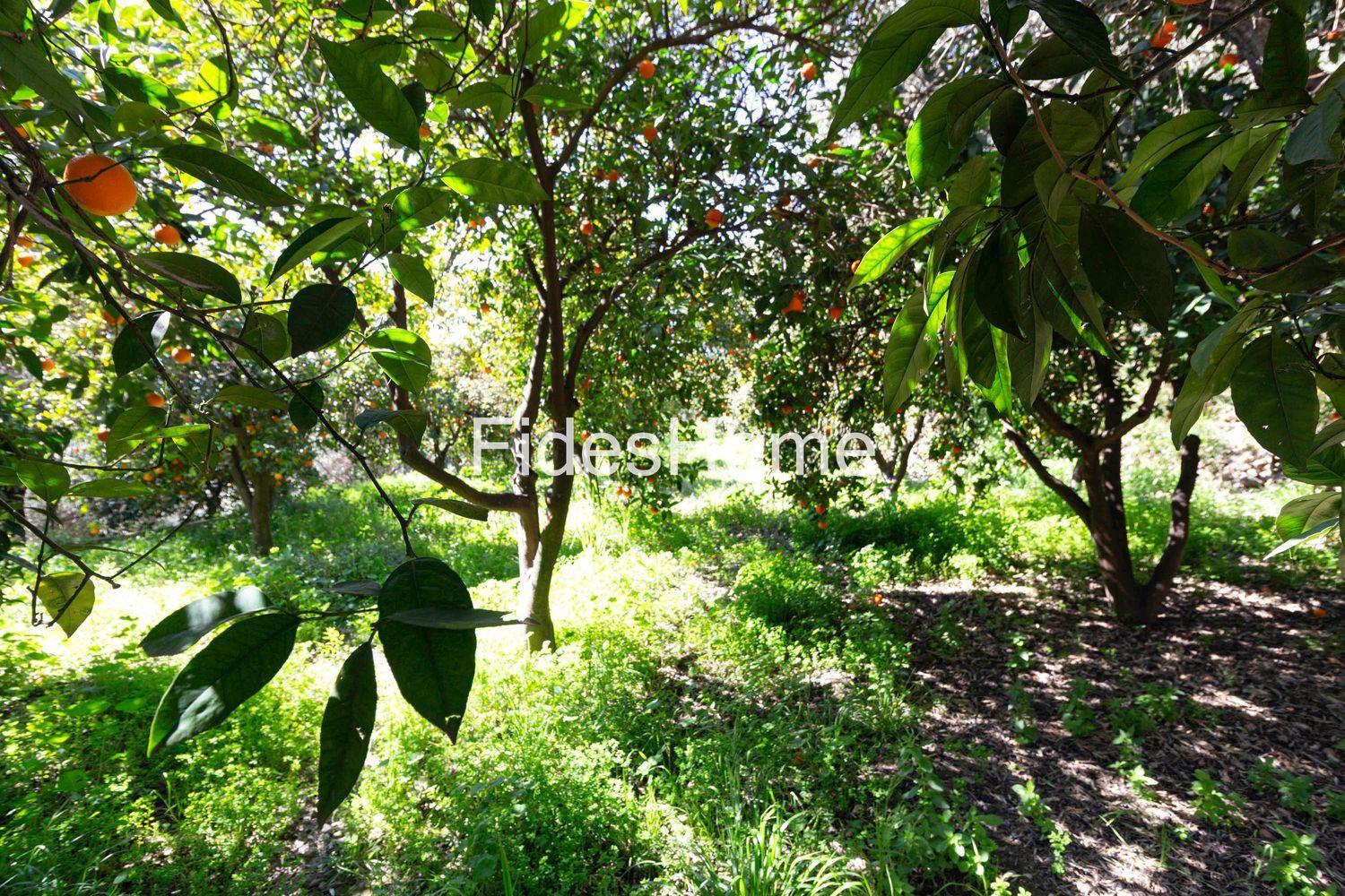 Plot for Sale in Lecrín