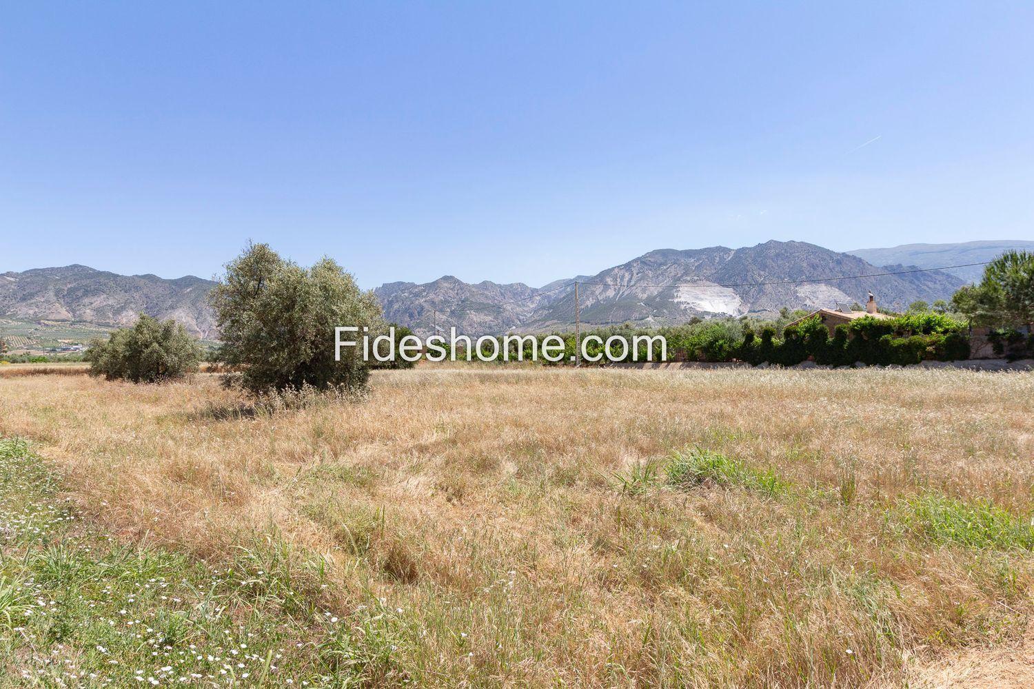 Building Site for Sale in Villamena