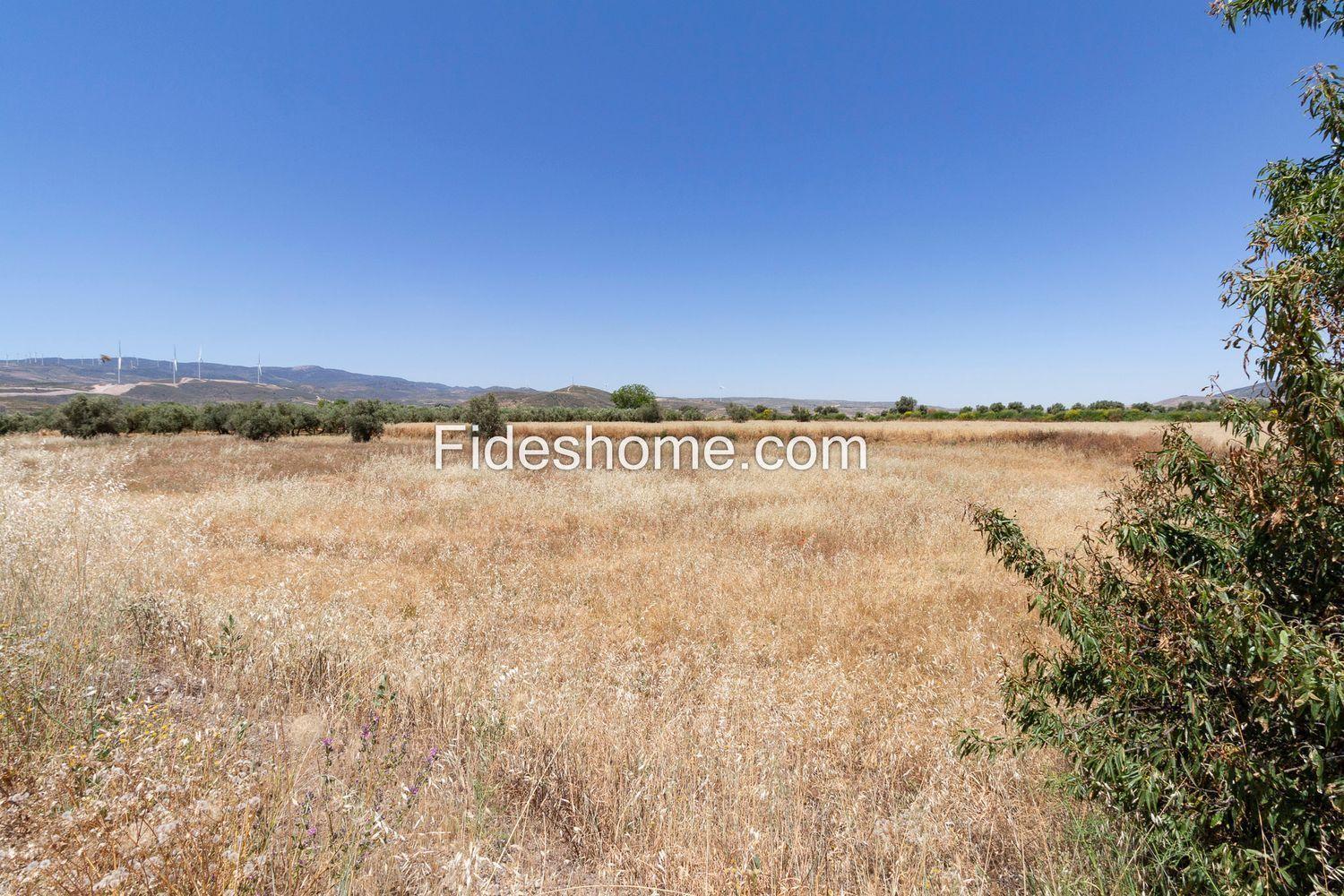 Building Site for Sale in Villamena