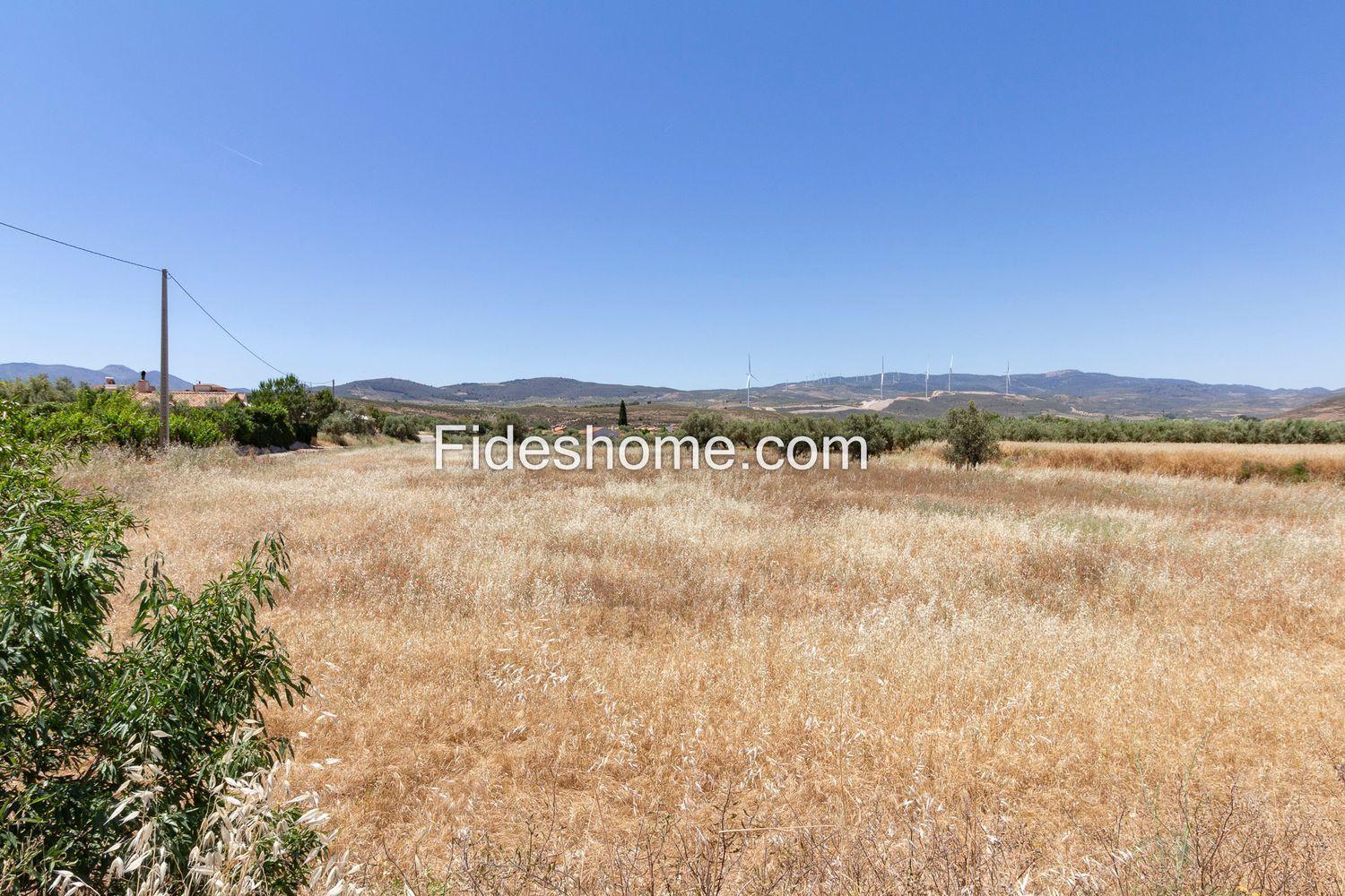 Plot for Sale in Villamena