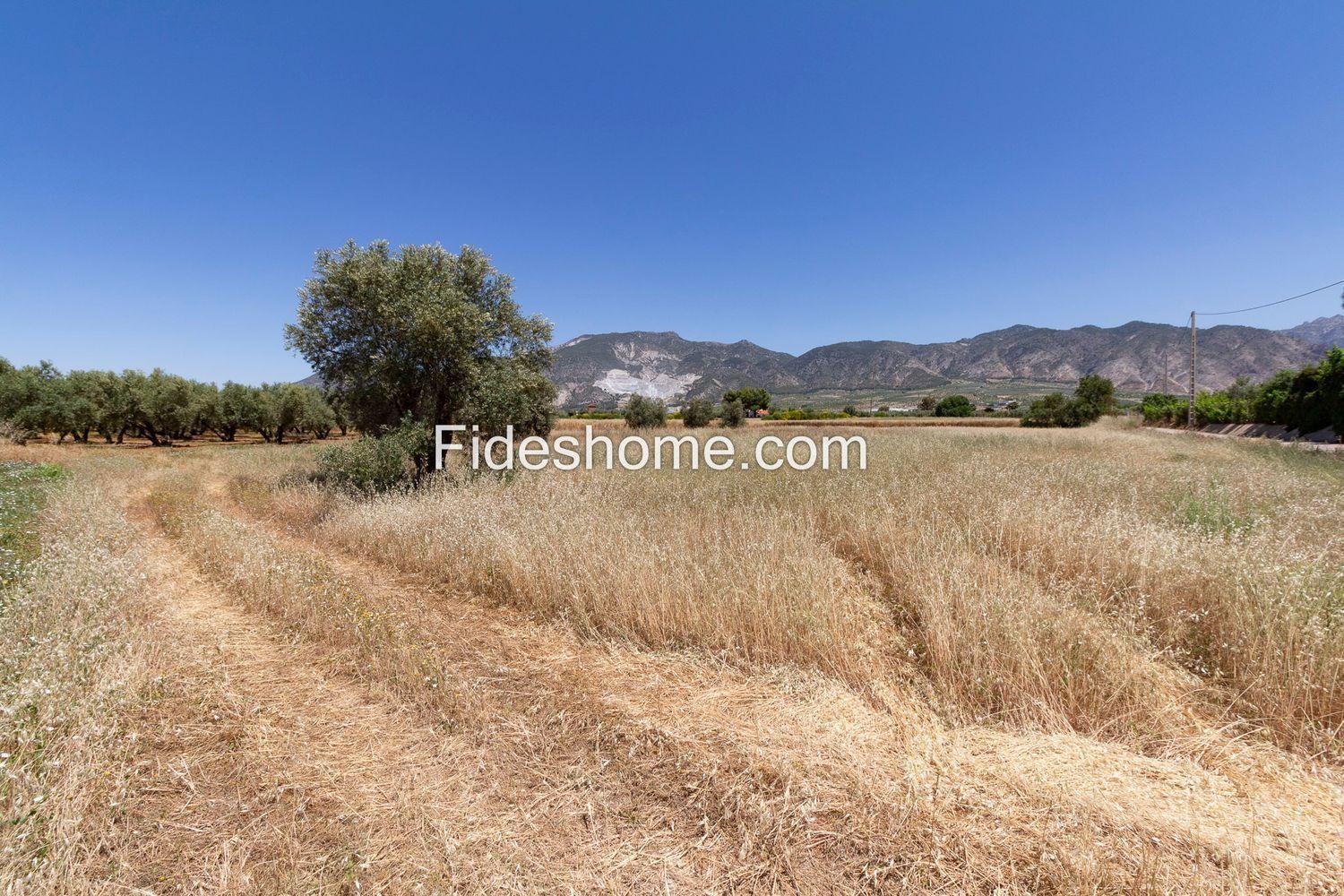 Building Site for Sale in Villamena