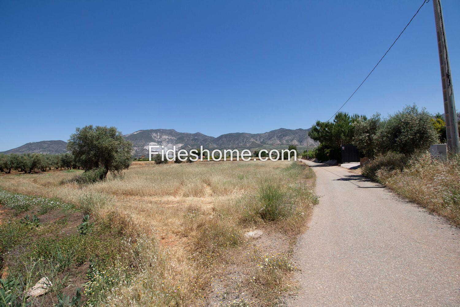 Building Site for Sale in Villamena