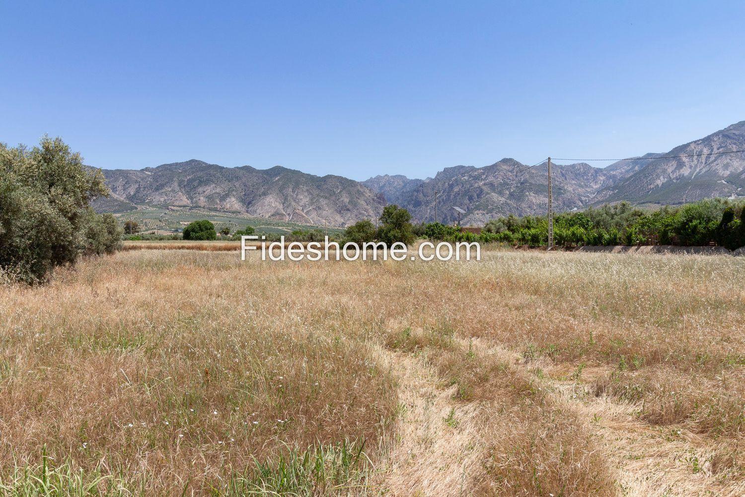 Building Site for Sale in Villamena