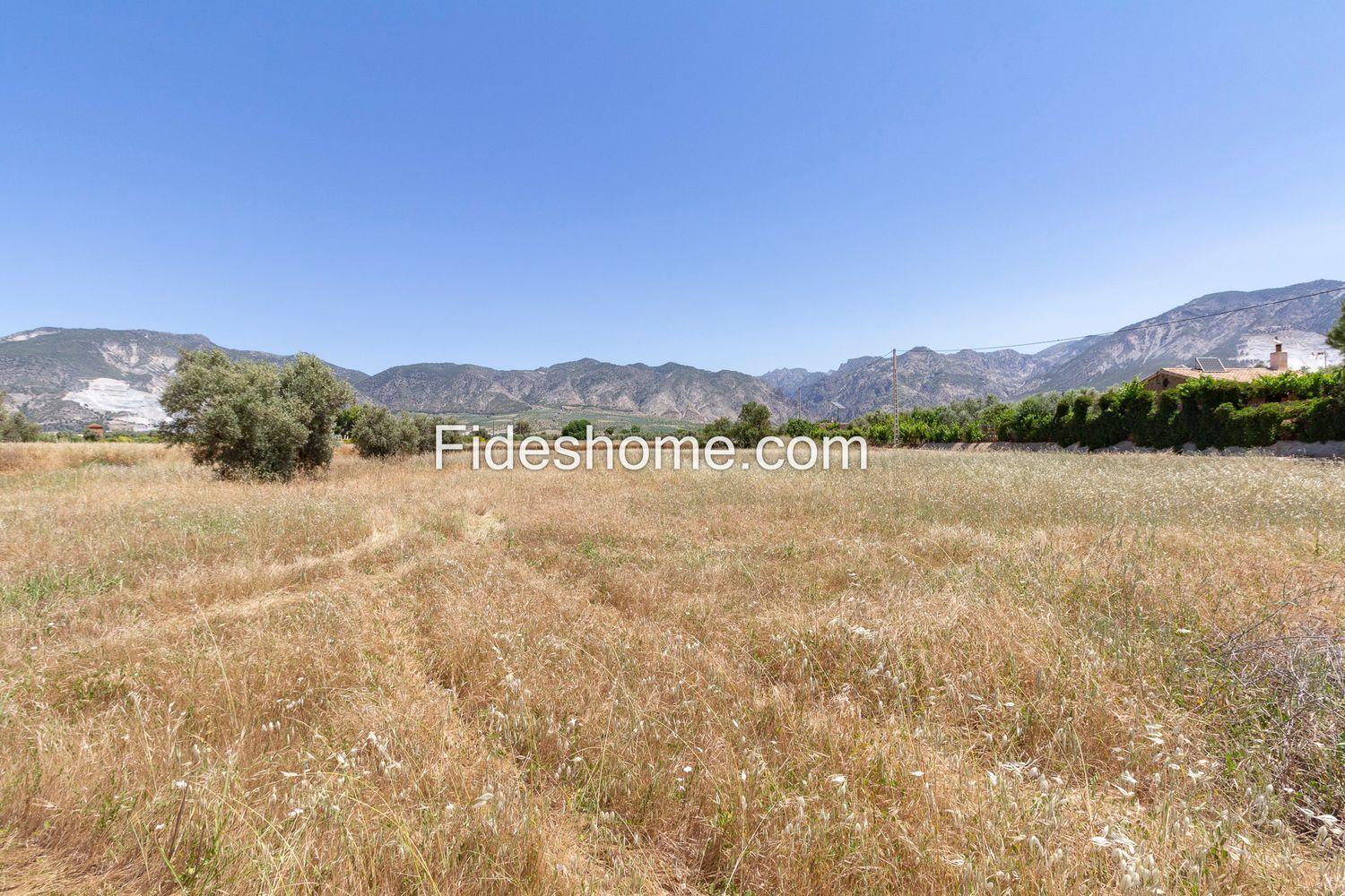 Building Site for Sale in Villamena