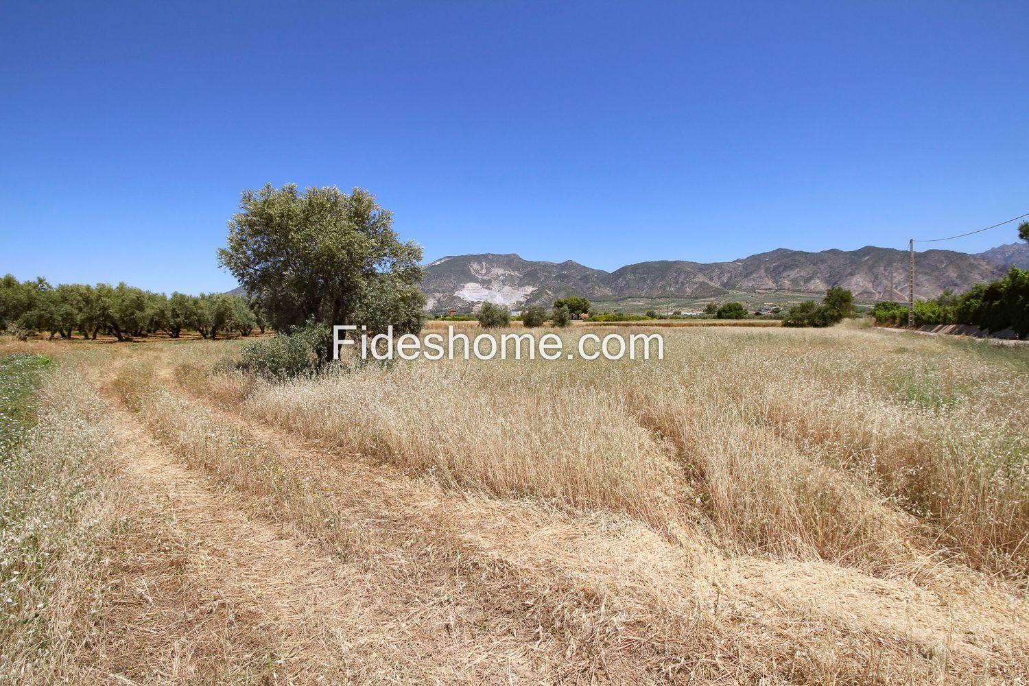 Building Site for Sale in Villamena