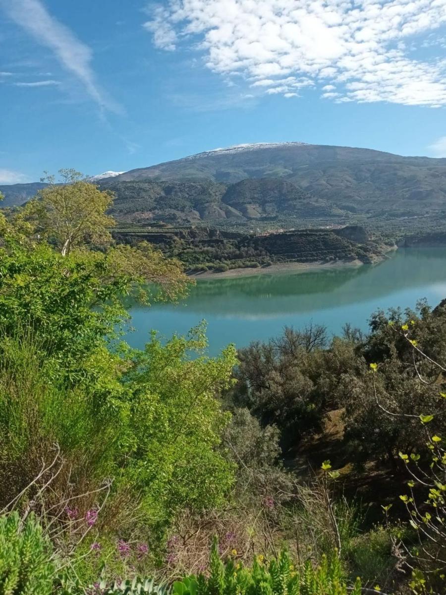 Building Site for Sale in El Pinar