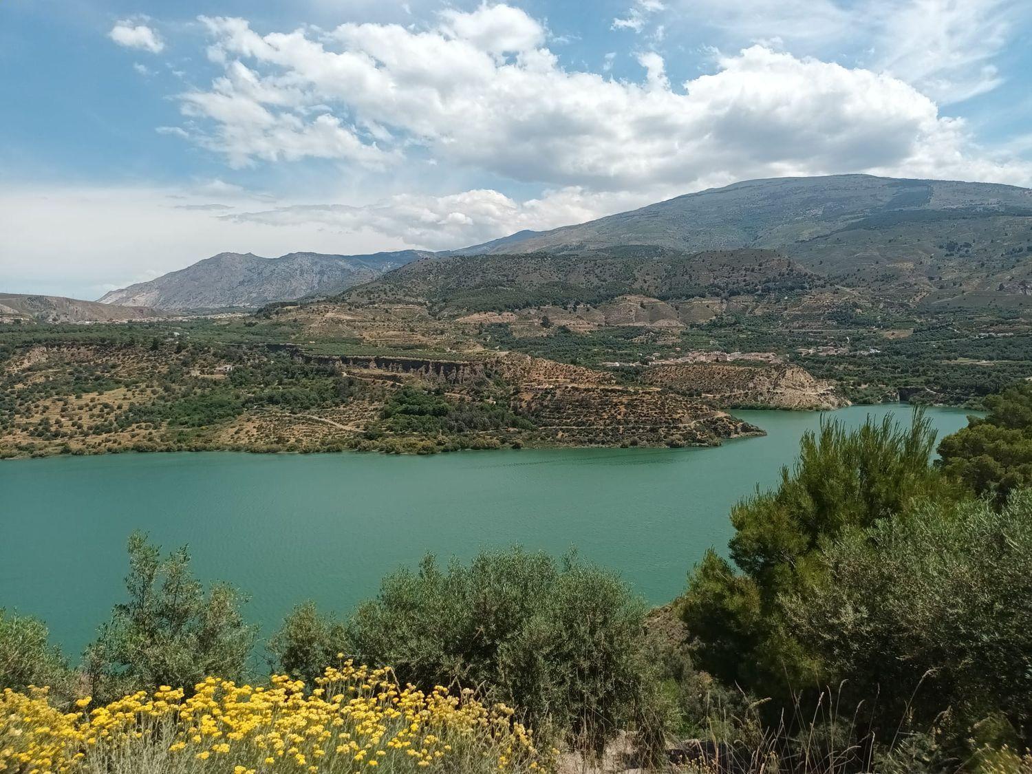 Building Site for Sale in El Pinar