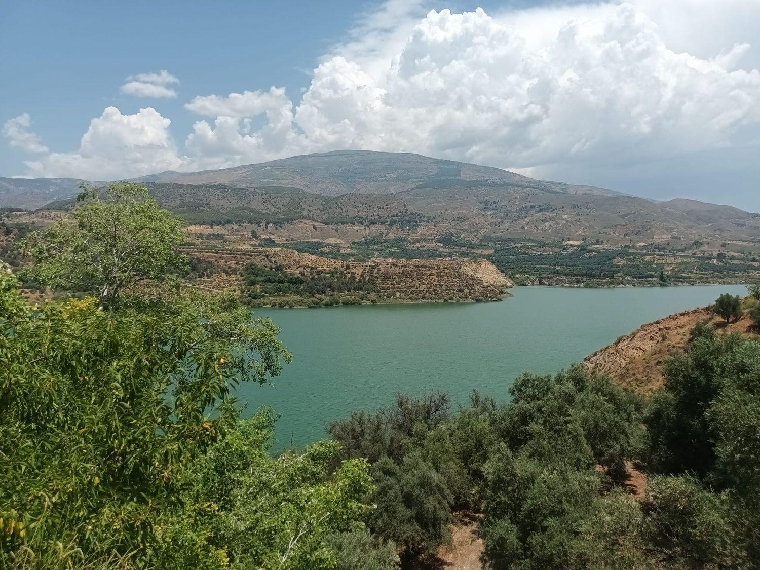 Building Site for Sale in El Pinar