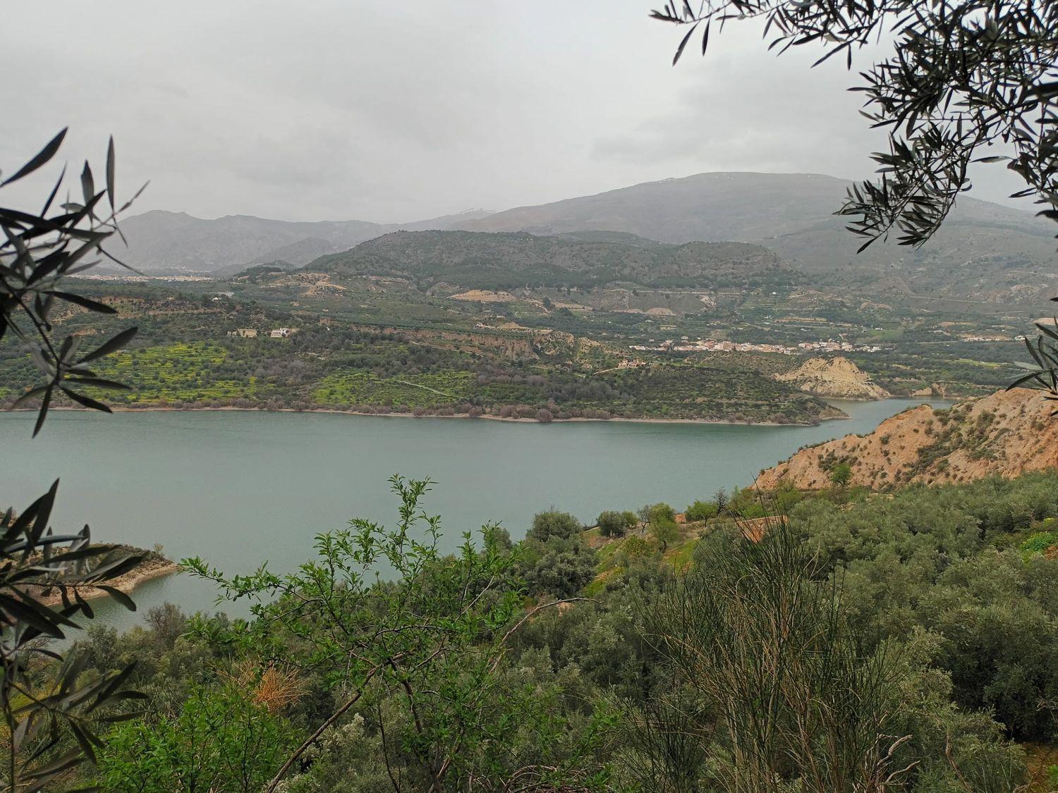 Building Site for Sale in El Pinar