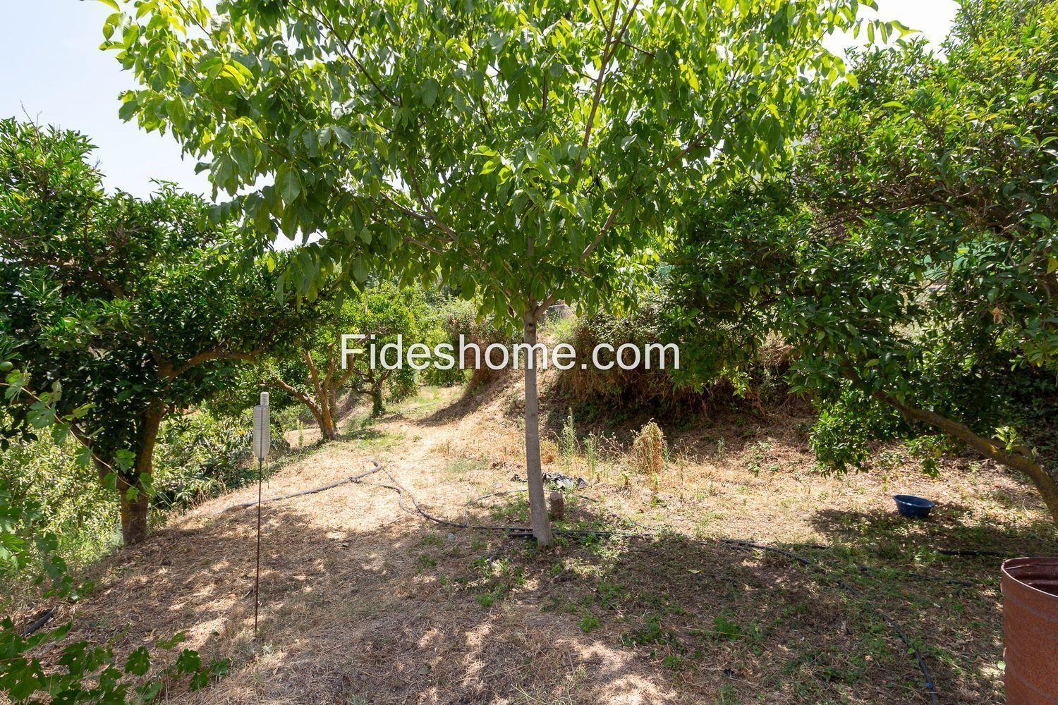 House for Sale in El Valle
