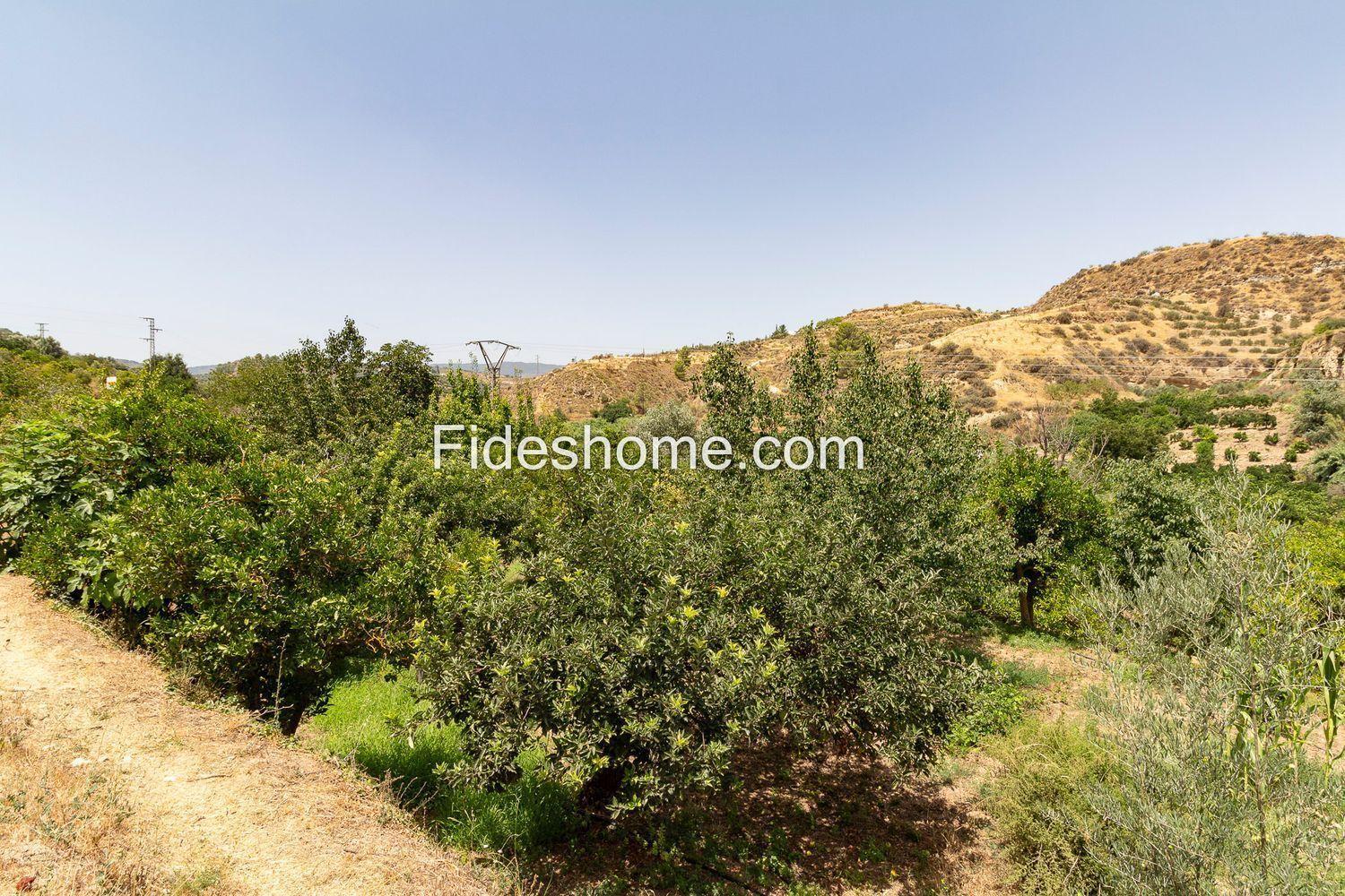 House for Sale in El Valle