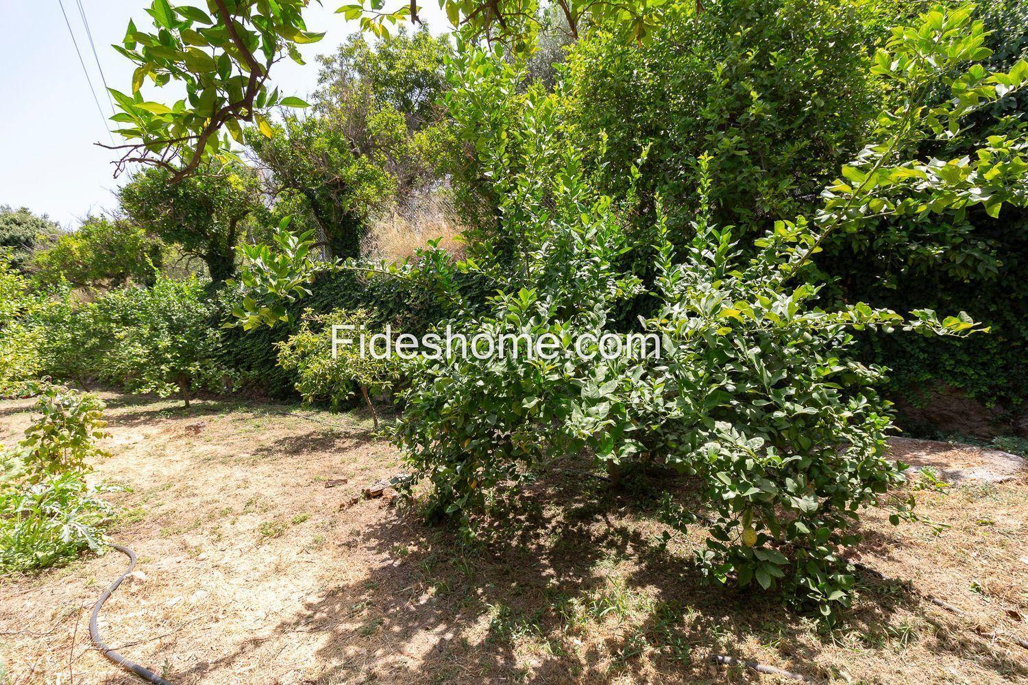 House for Sale in El Valle
