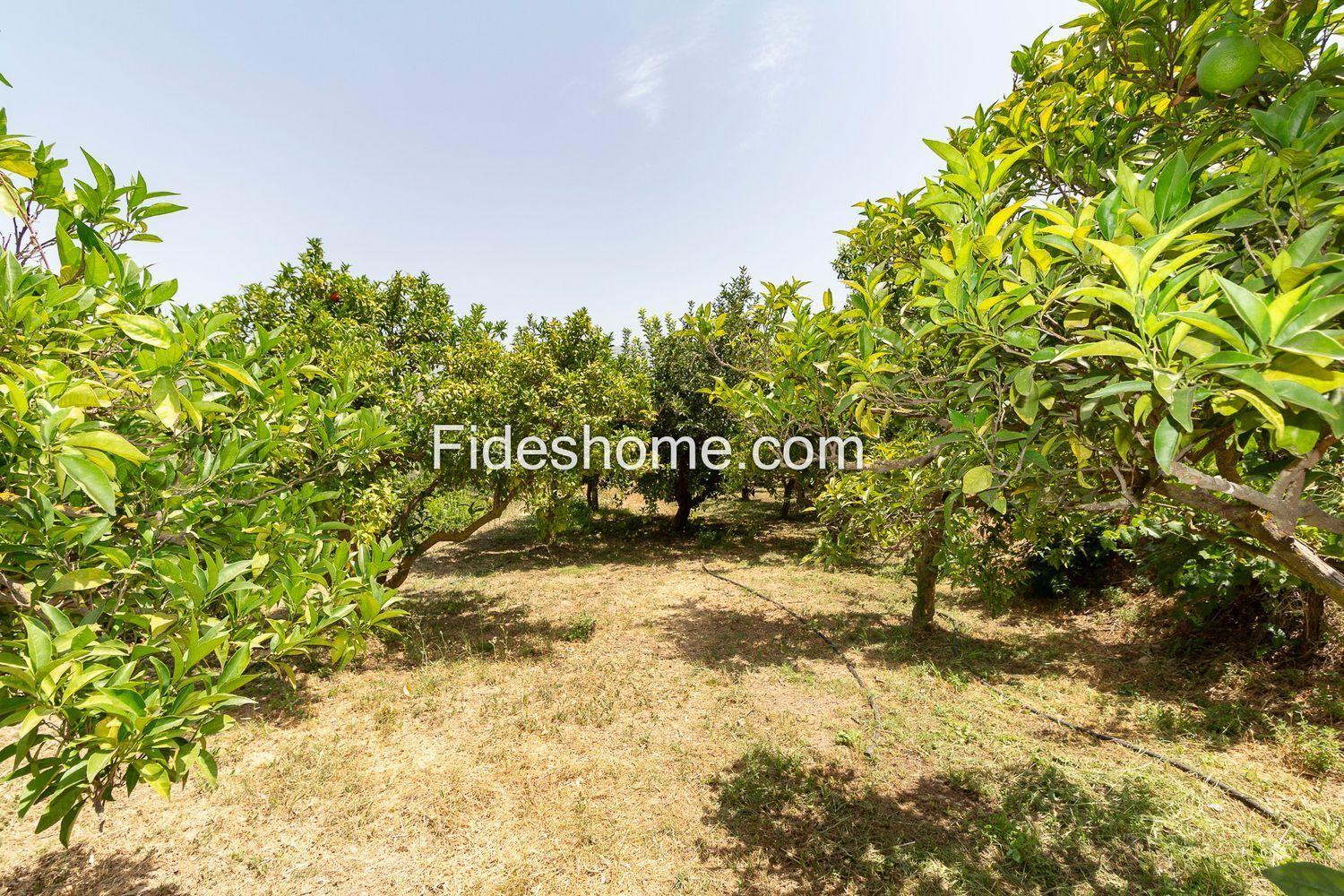 Country Property for Sale in El Valle