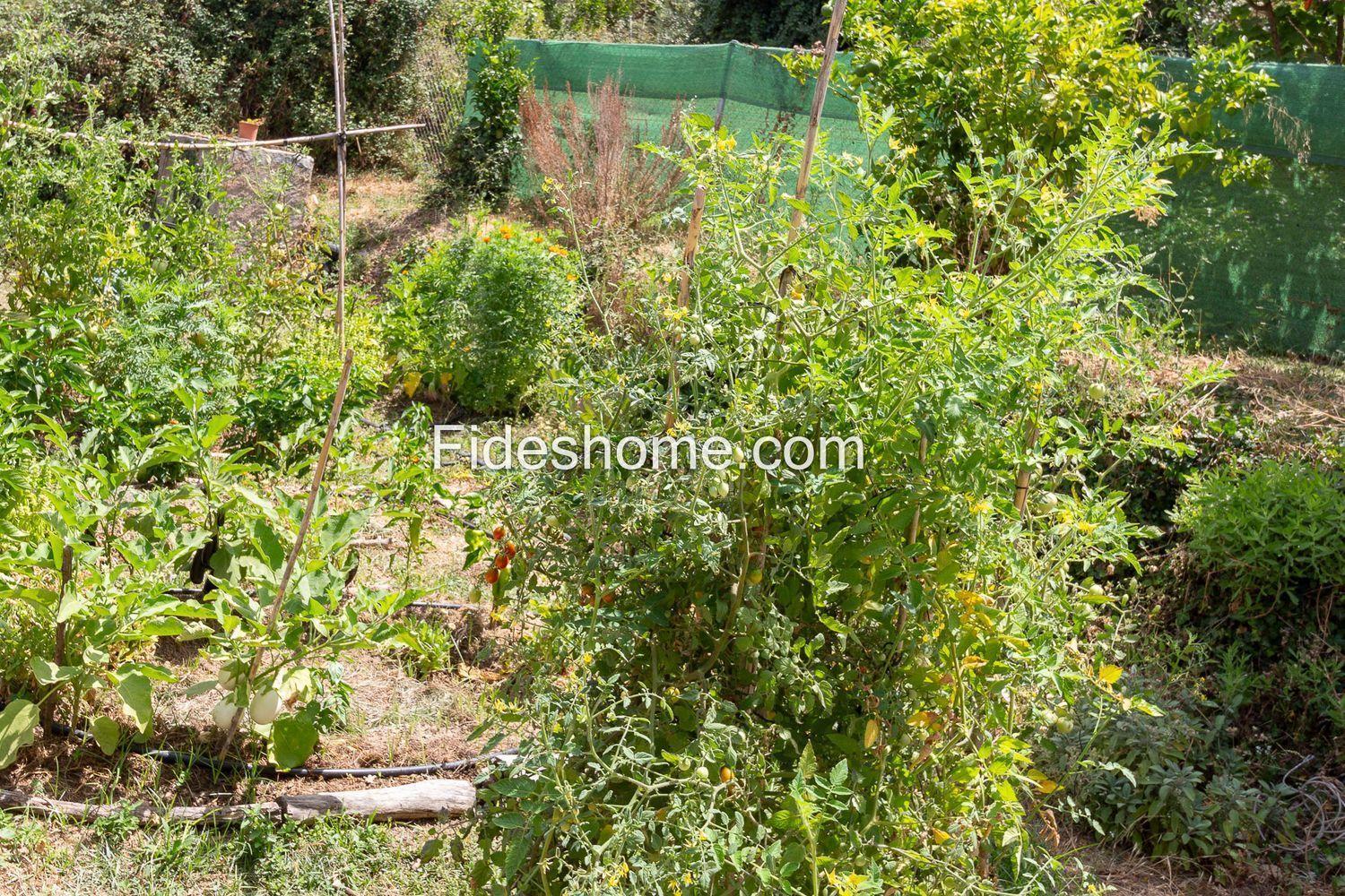 House for Sale in El Valle
