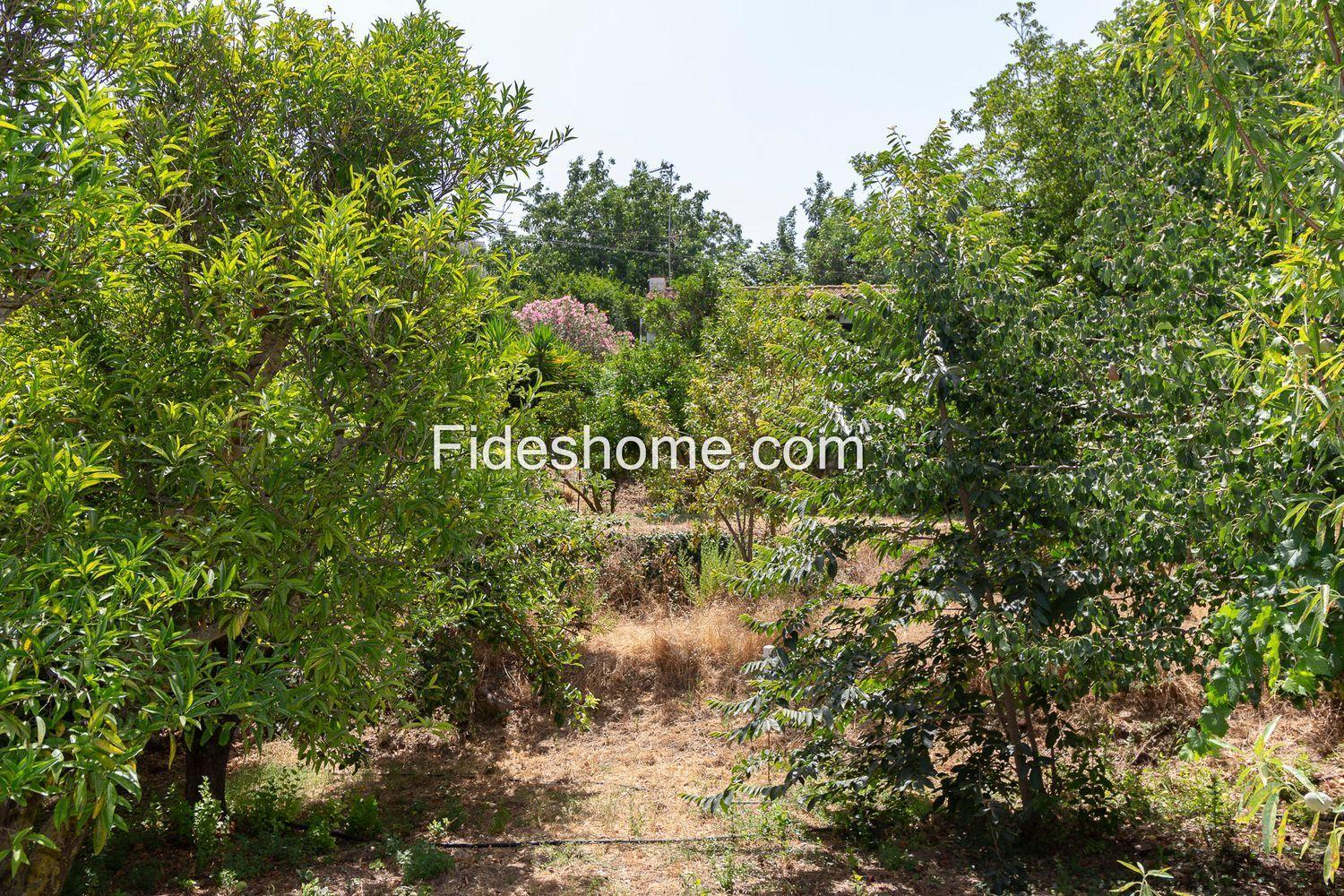 Country Property for Sale in El Valle