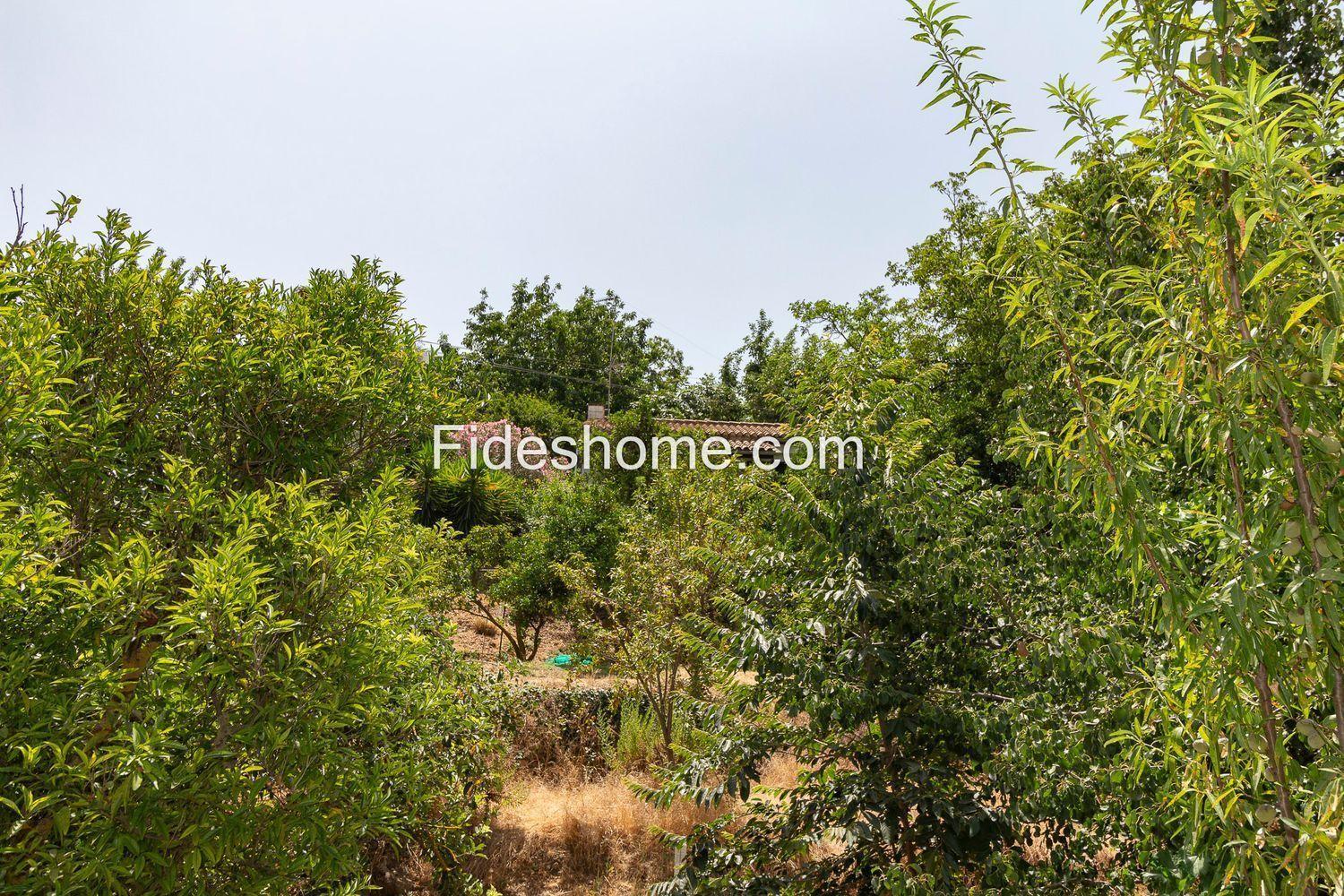 House for Sale in El Valle