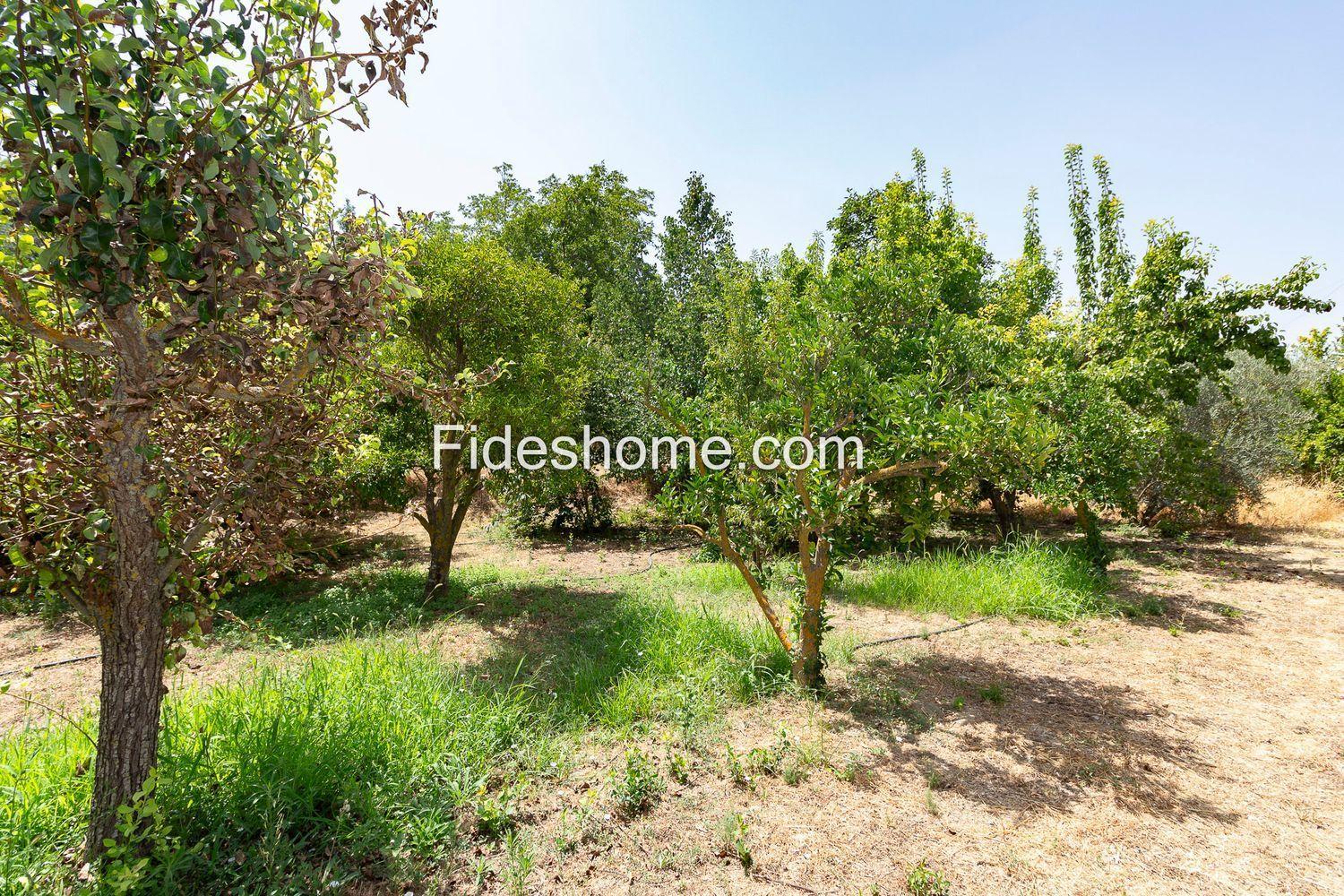 Country Property for Sale in El Valle