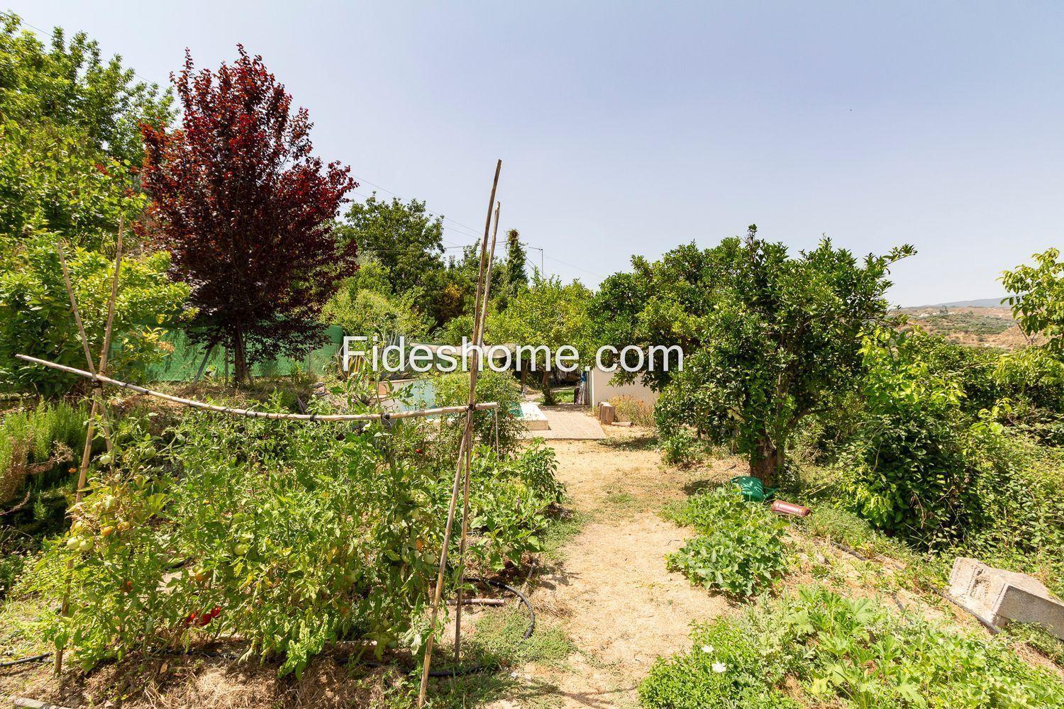 House for Sale in El Valle