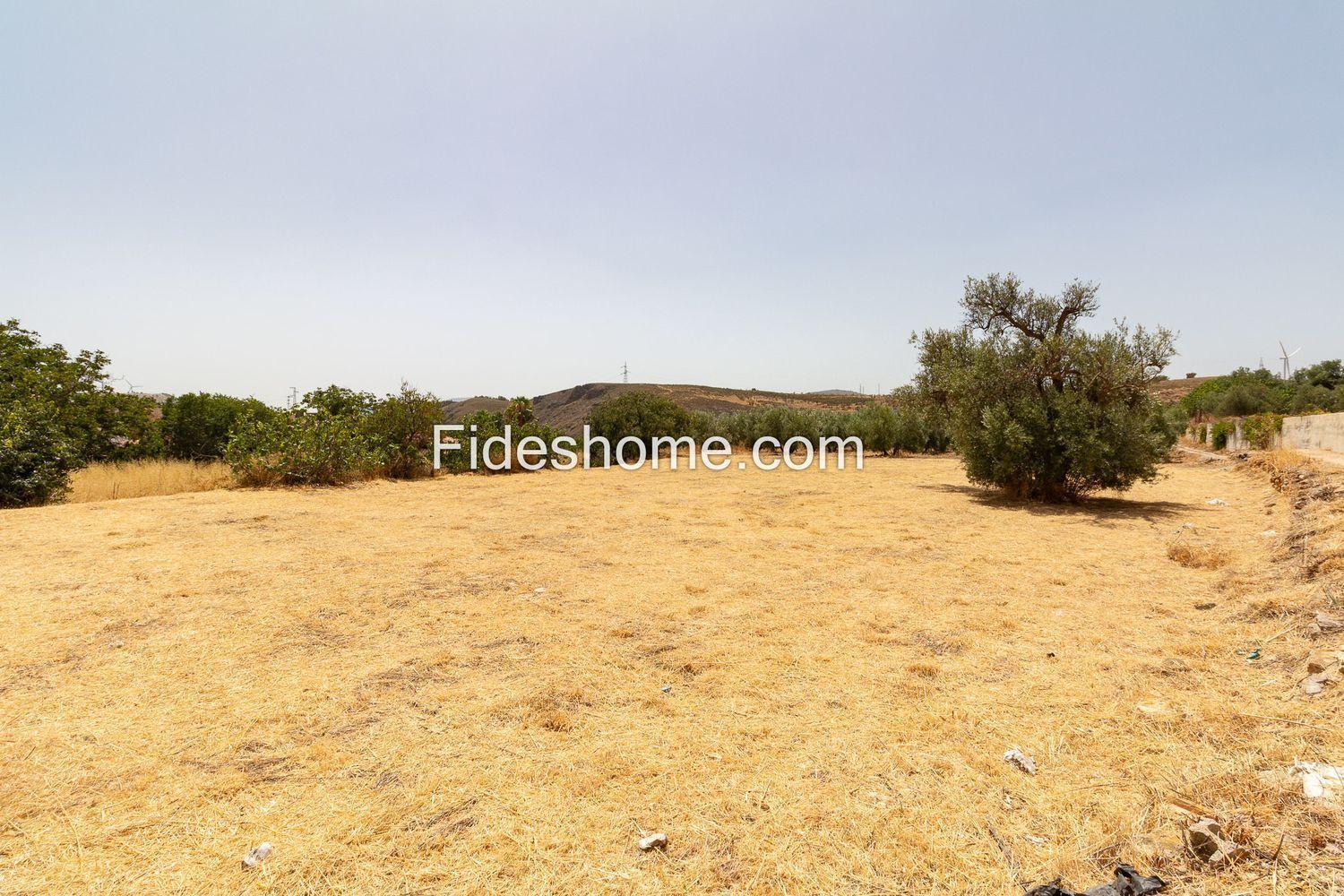 Building Site for Sale in Villamena
