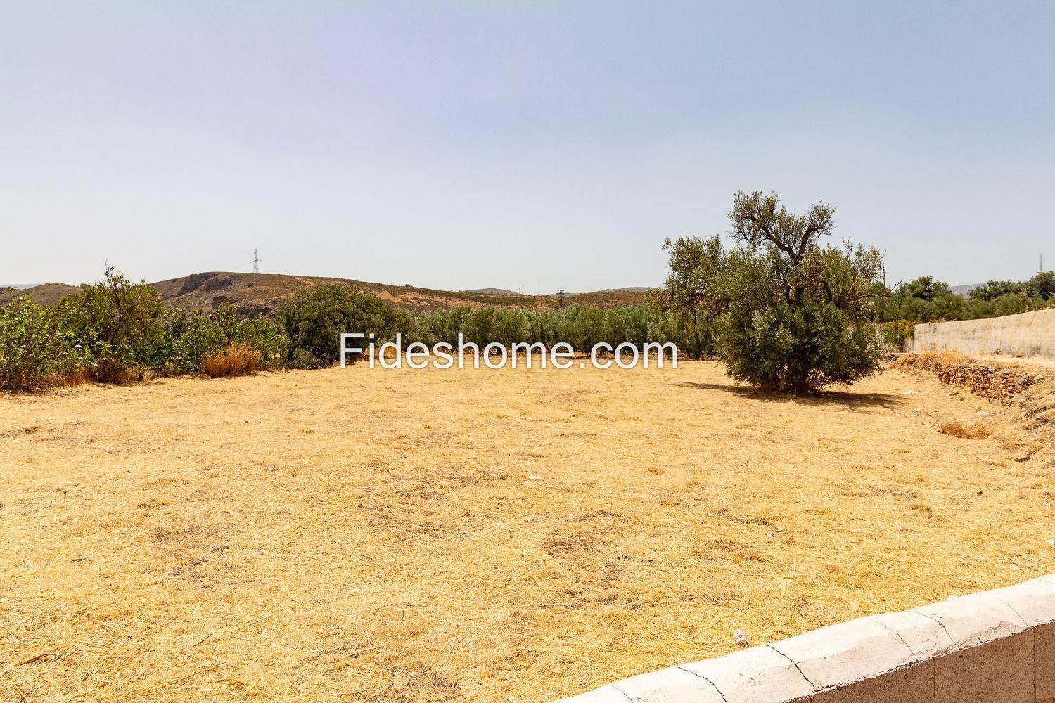 Building Site for Sale in Villamena