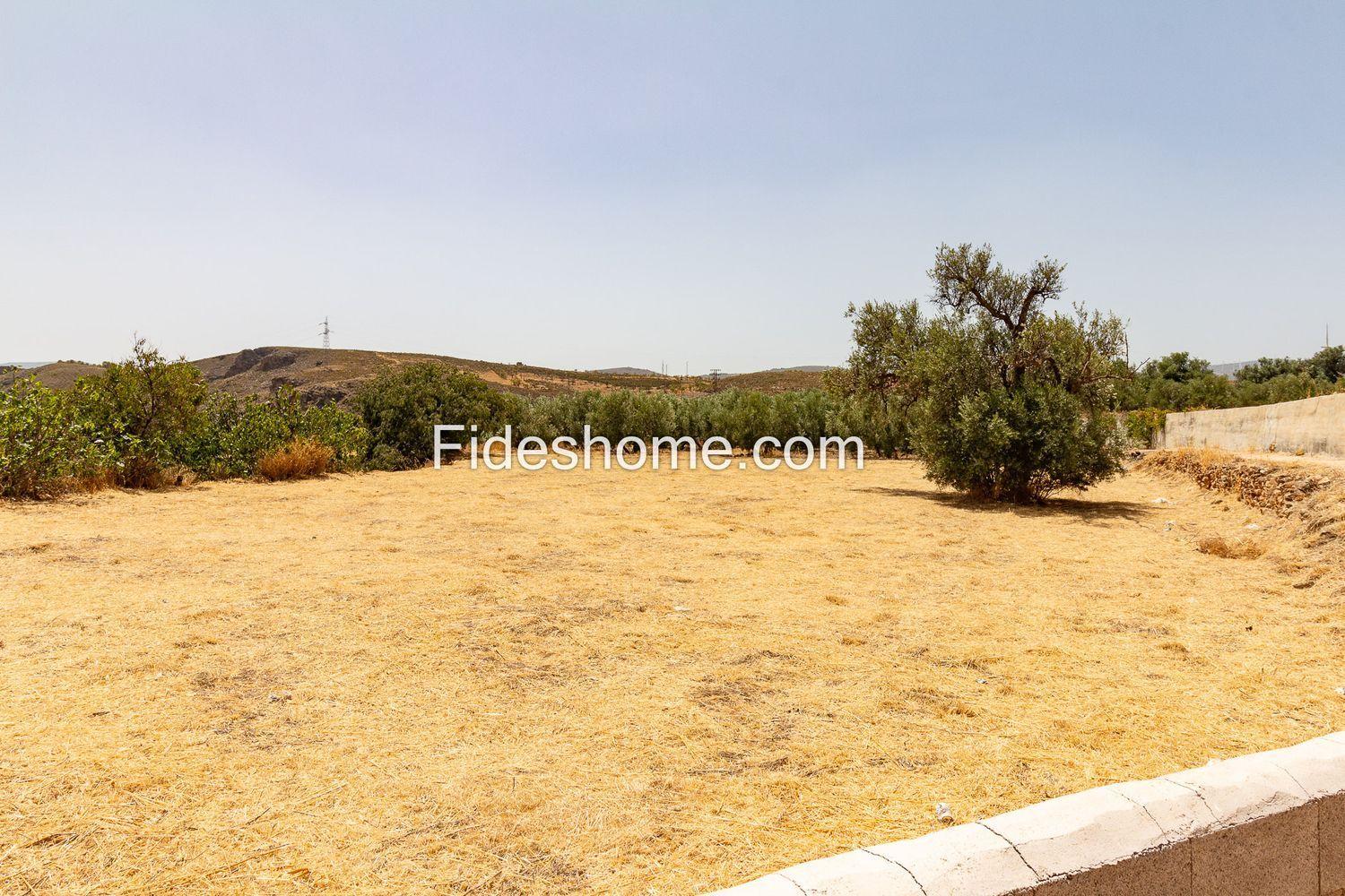 Plot for Sale in Villamena