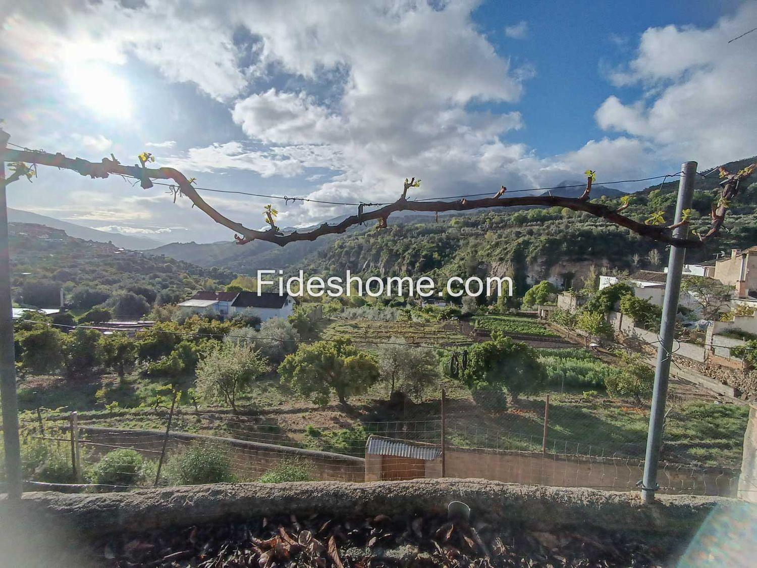Plot for Sale in Albuñuelas