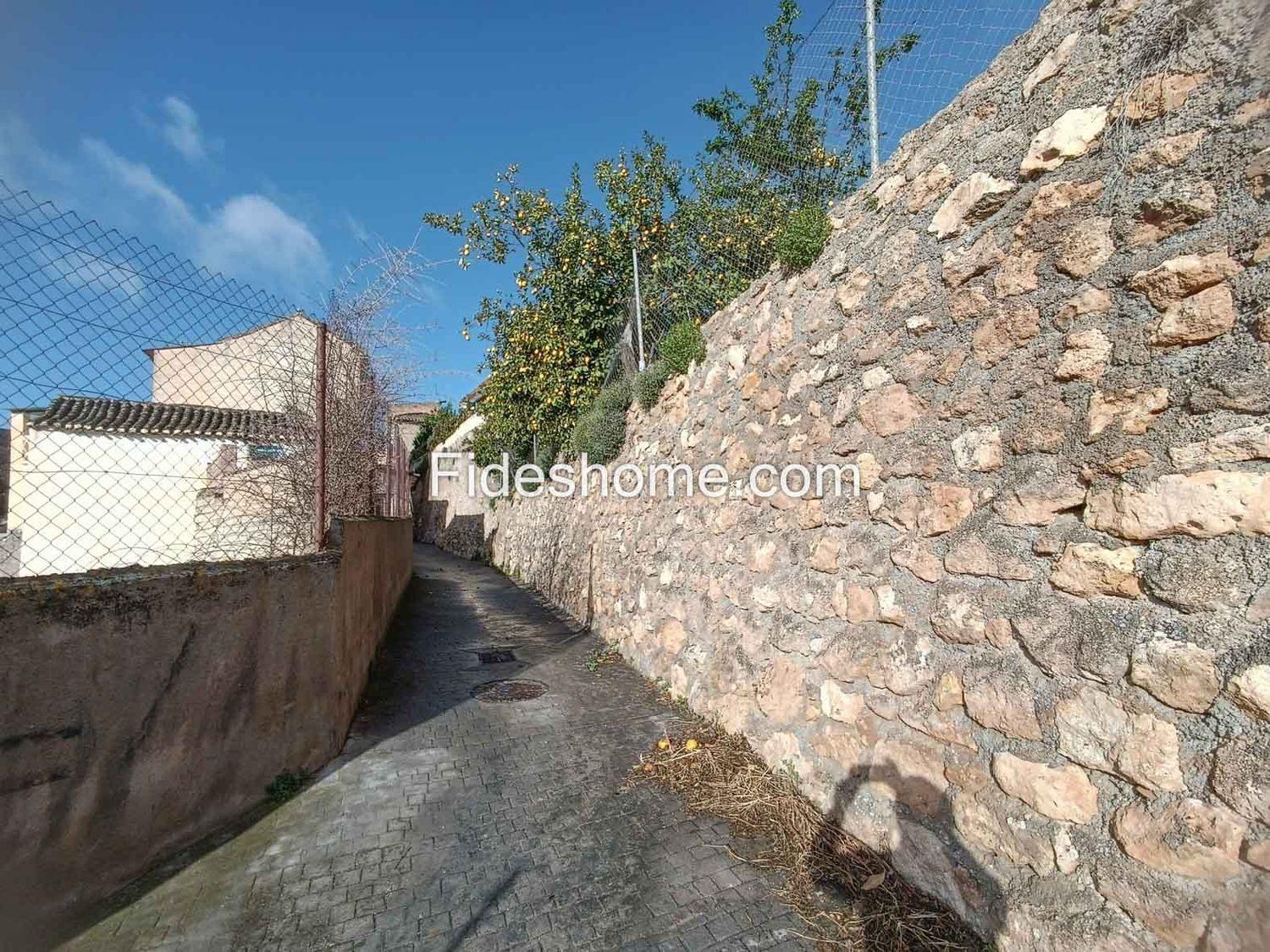 Plot for Sale in Albuñuelas