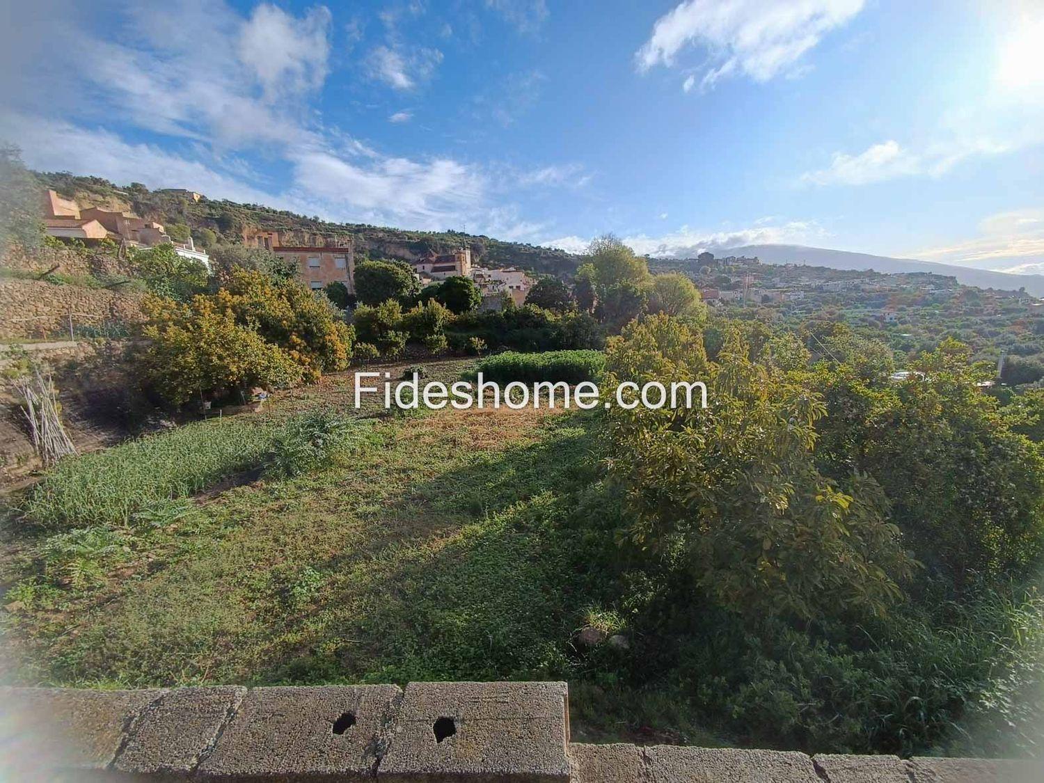 Plot for Sale in Albuñuelas
