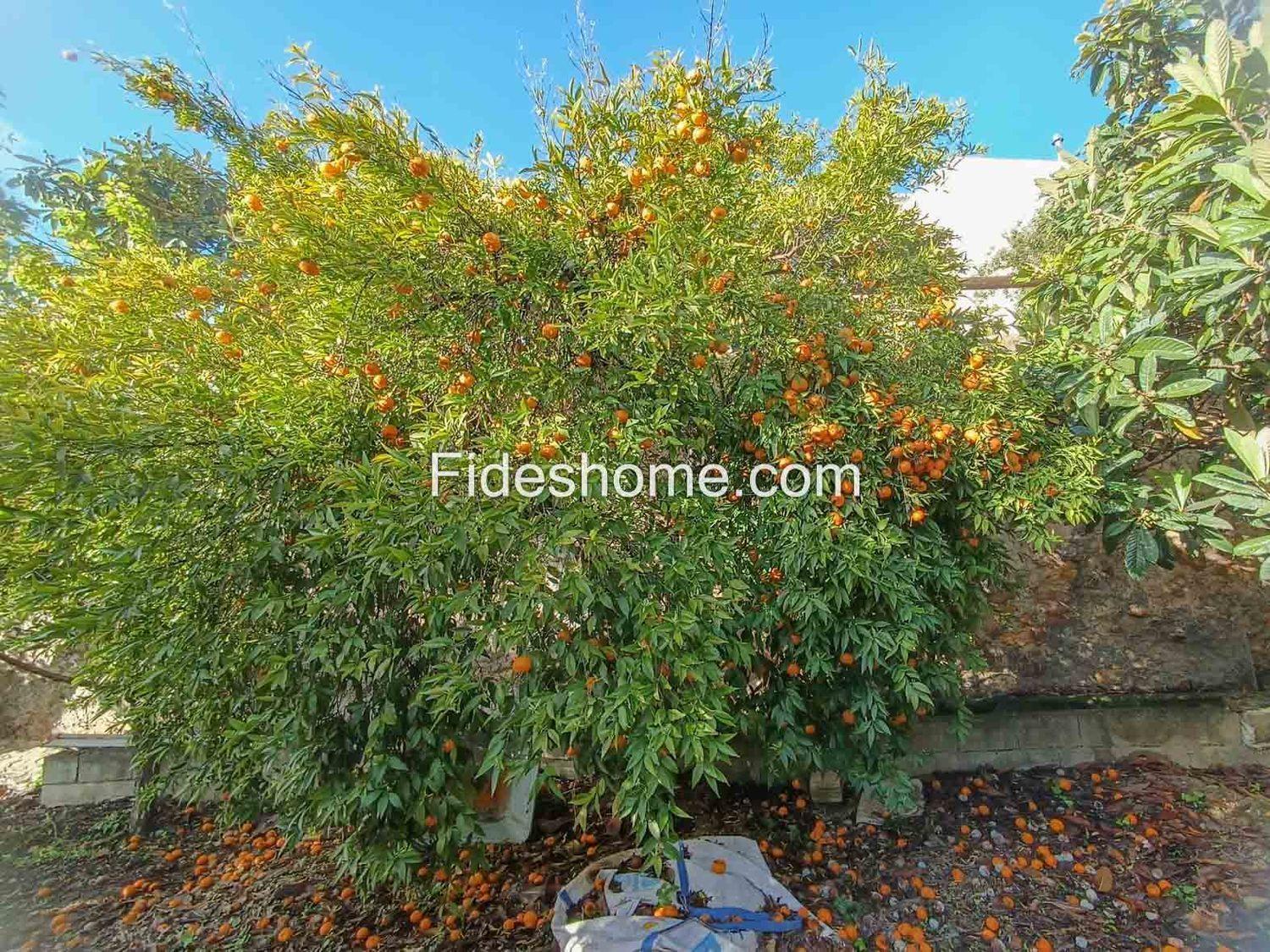 Plot for Sale in Albuñuelas