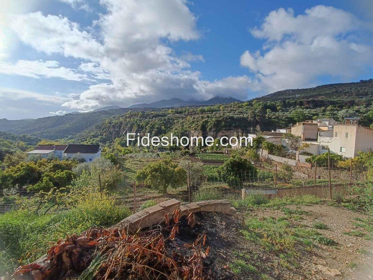 Plot for Sale in Albuñuelas