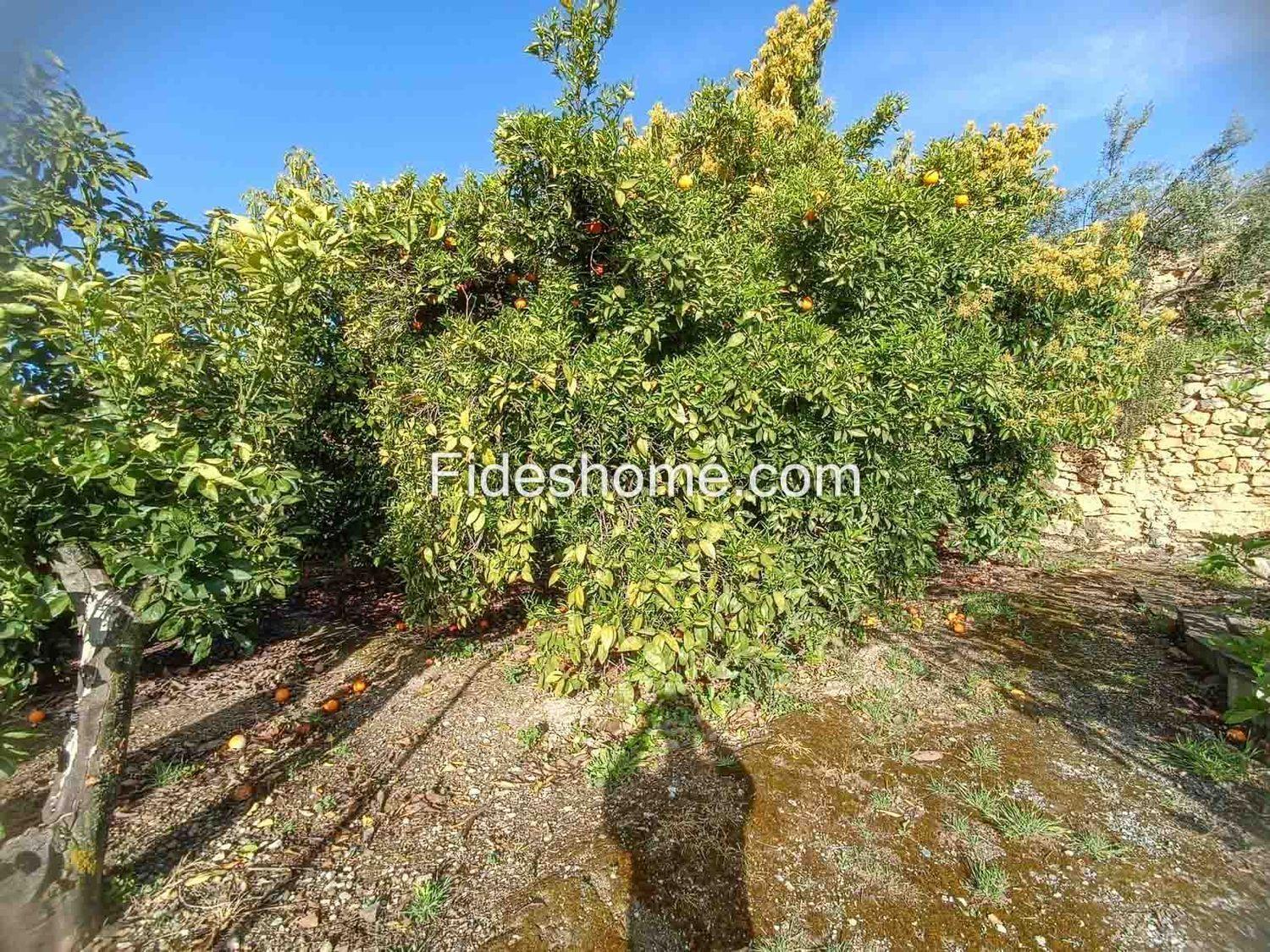 Plot for Sale in Albuñuelas