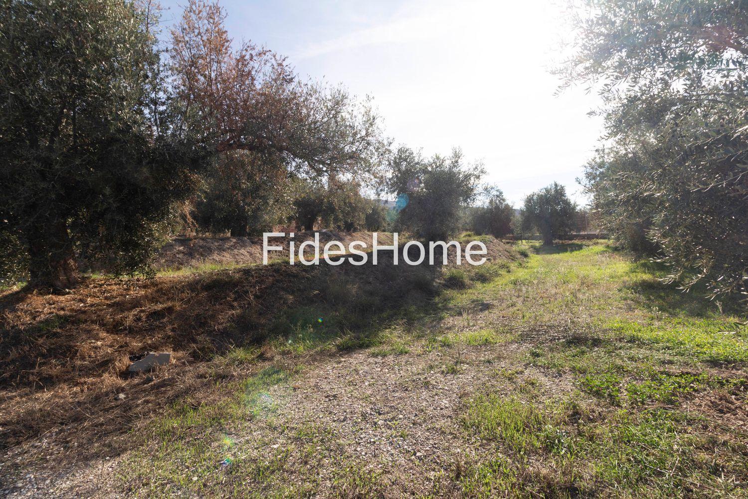 Plot for Sale in Dúrcal