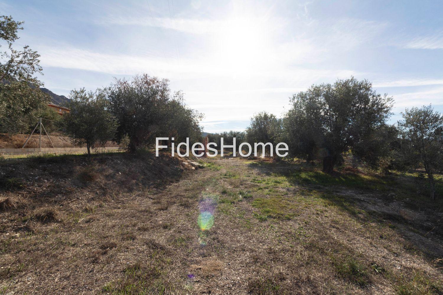 Plot for Sale in Dúrcal