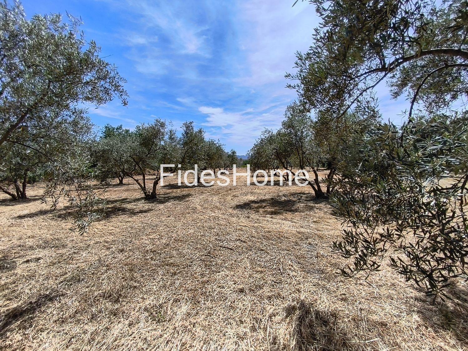Plot for Sale in Nigüelas