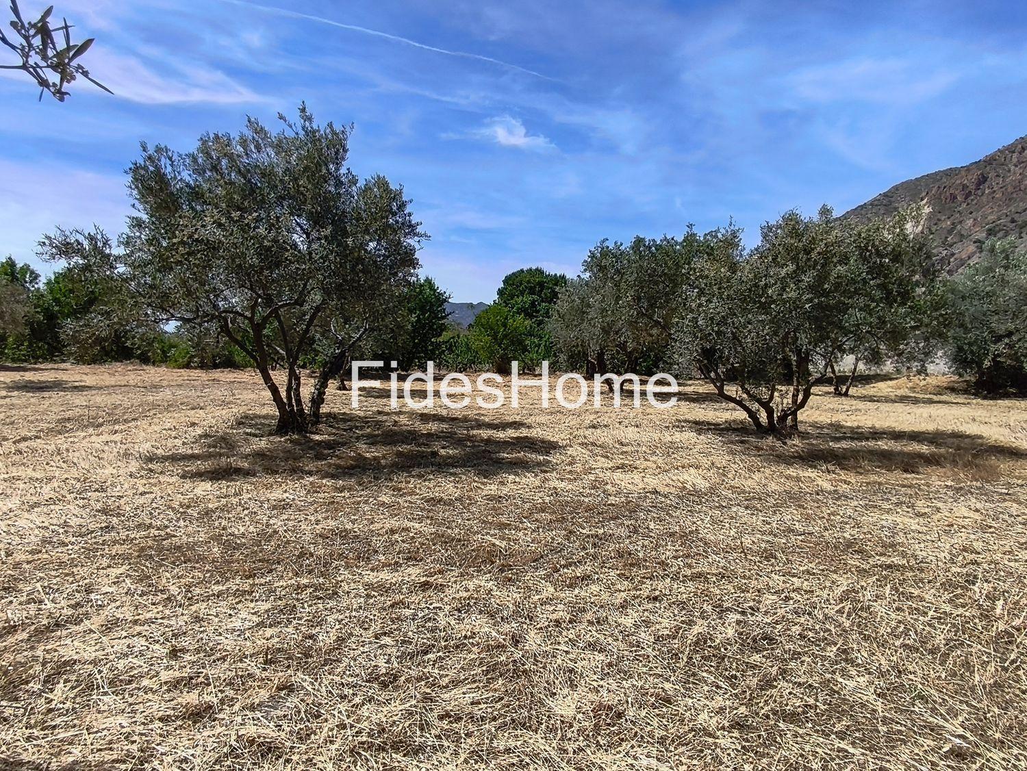 Plot for Sale in Nigüelas