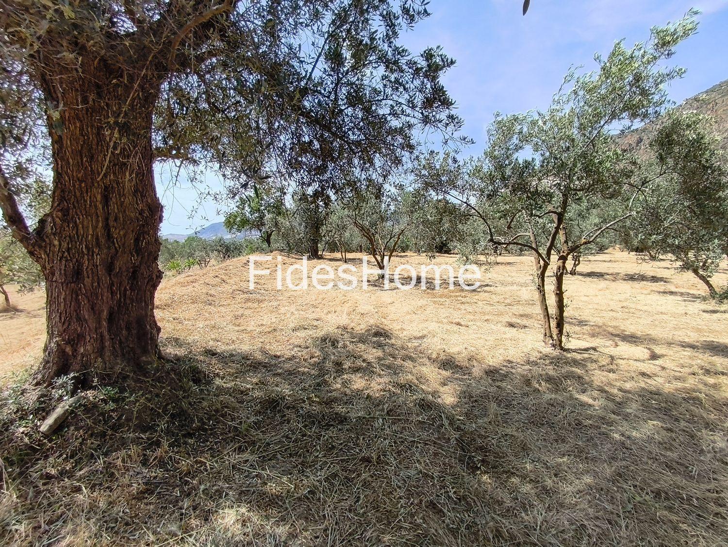 Plot for Sale in Nigüelas