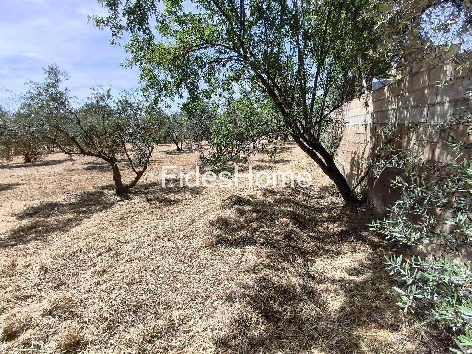 Plot for Sale in Nigüelas