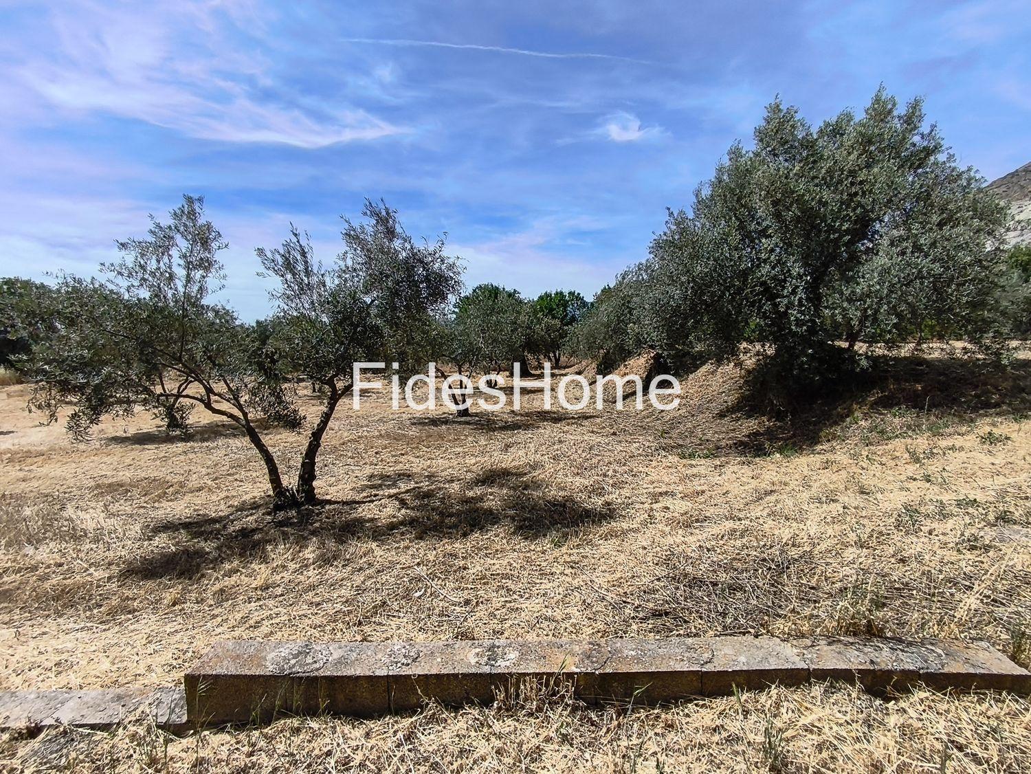Plot for Sale in Nigüelas