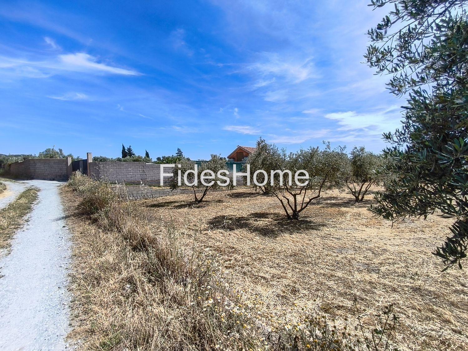 Plot for Sale in Nigüelas