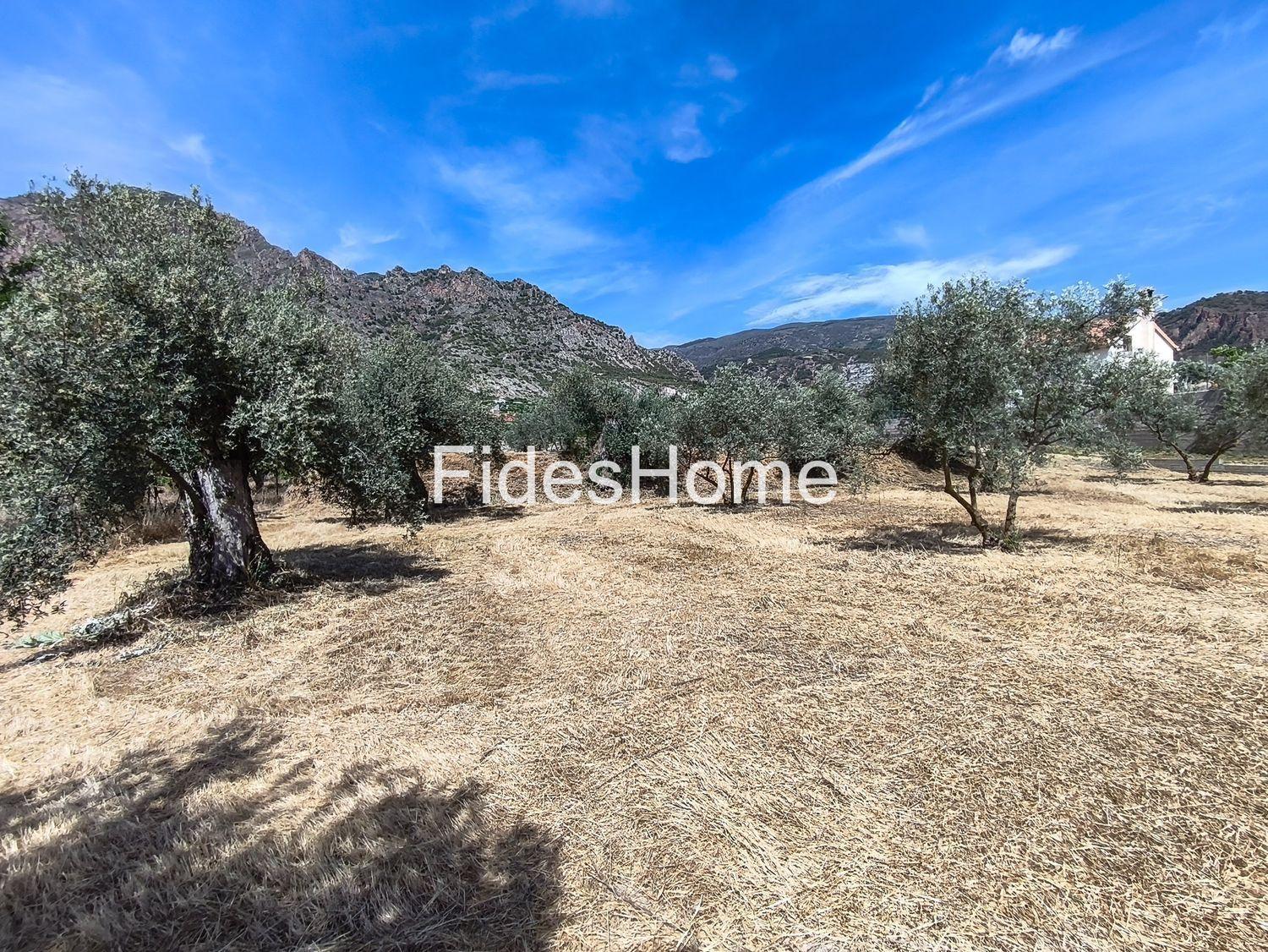 Plot for Sale in Nigüelas