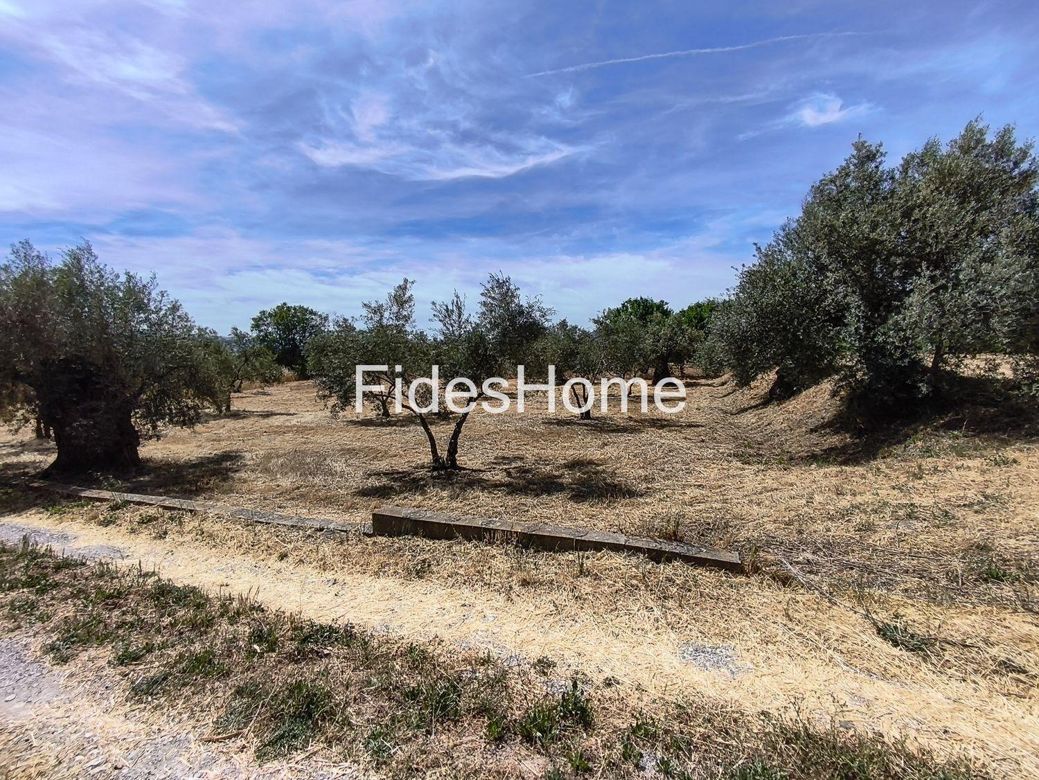 Plot for Sale in Nigüelas