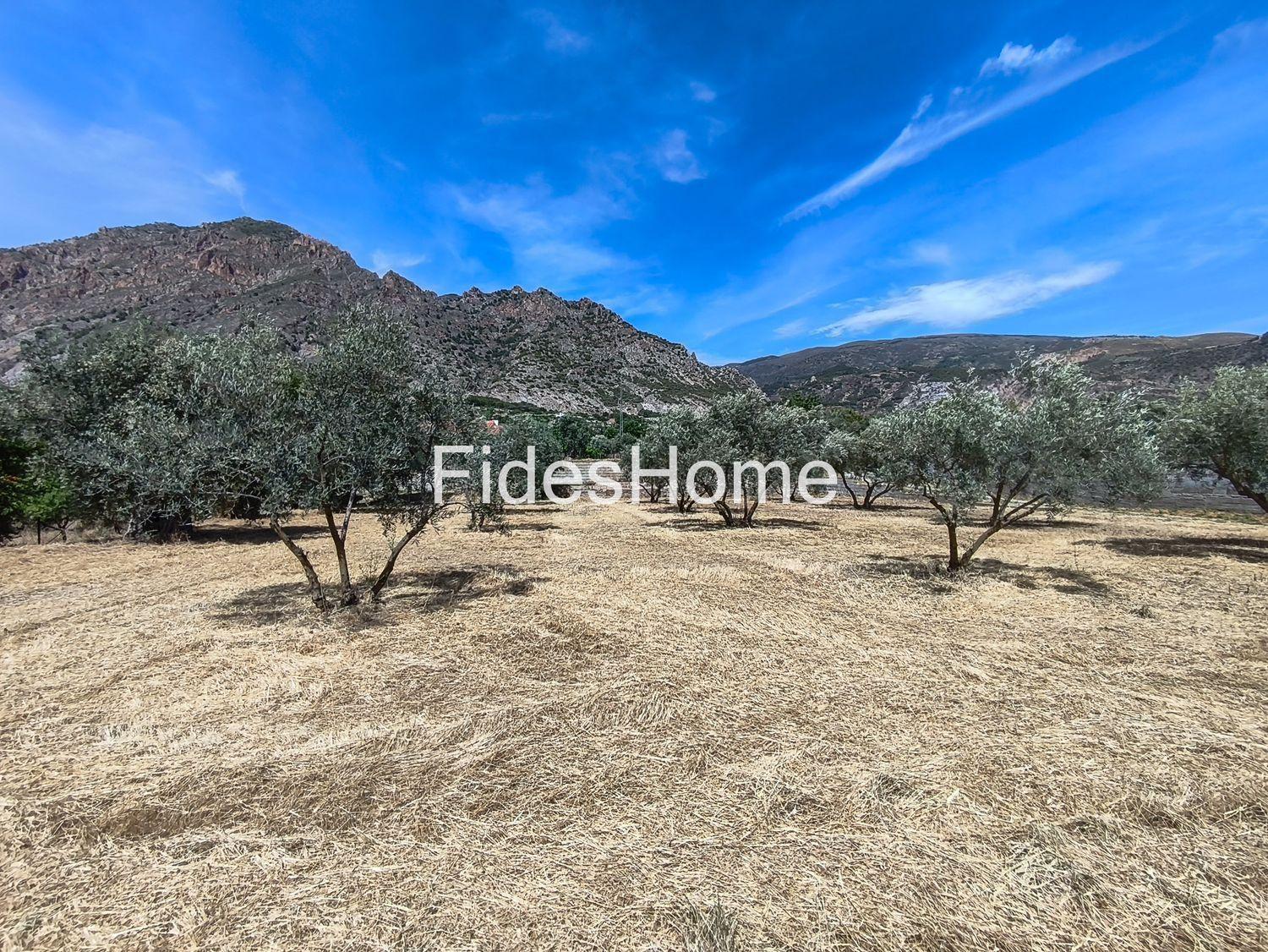 Plot for Sale in Nigüelas