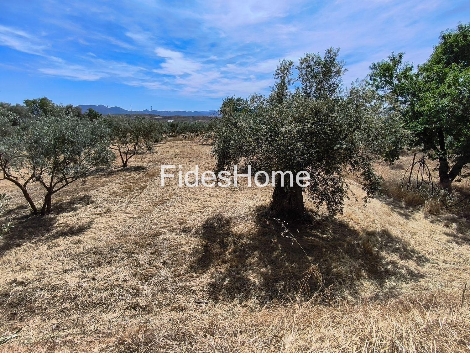Plot for Sale in Nigüelas