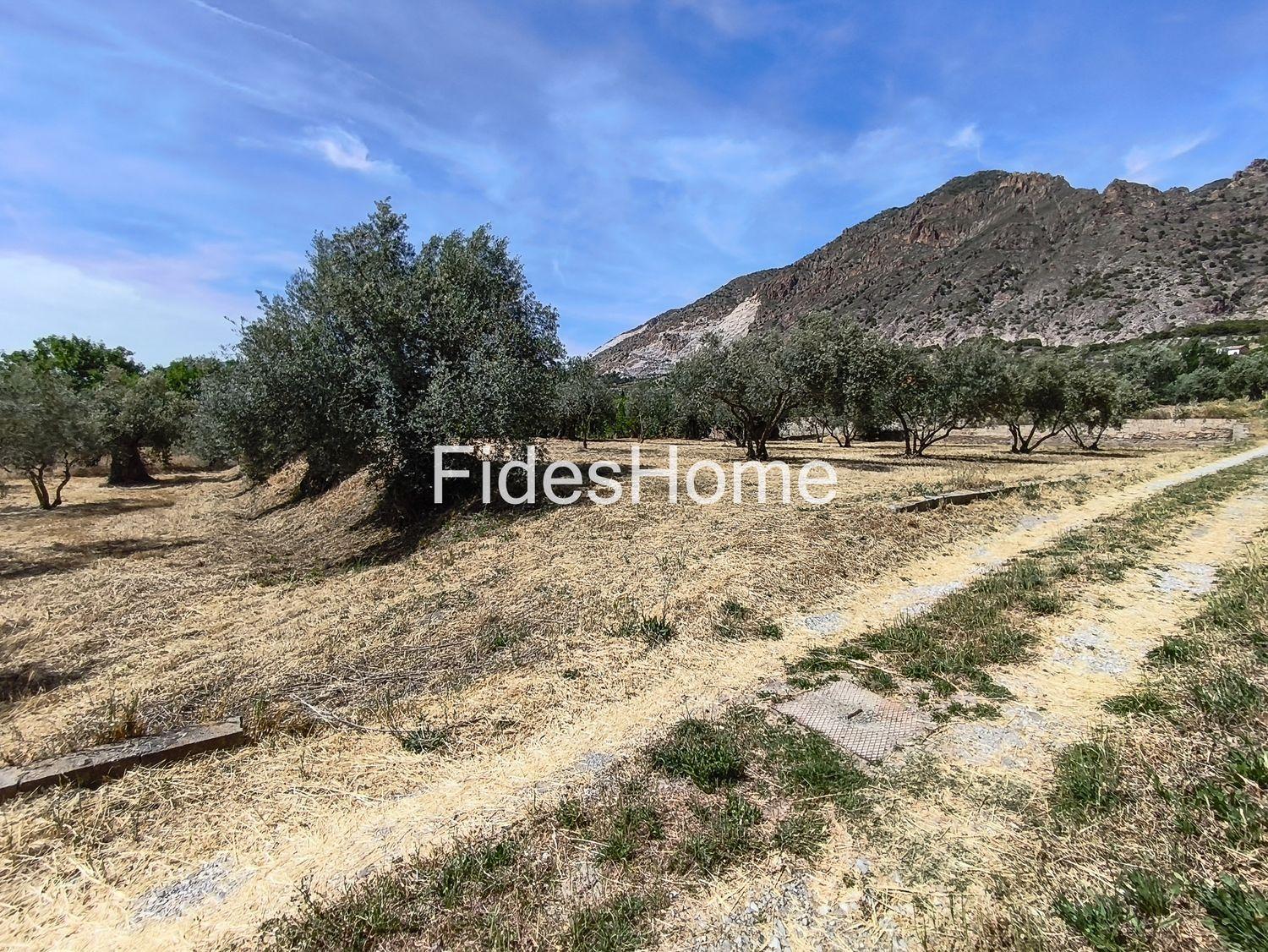 Plot for Sale in Nigüelas