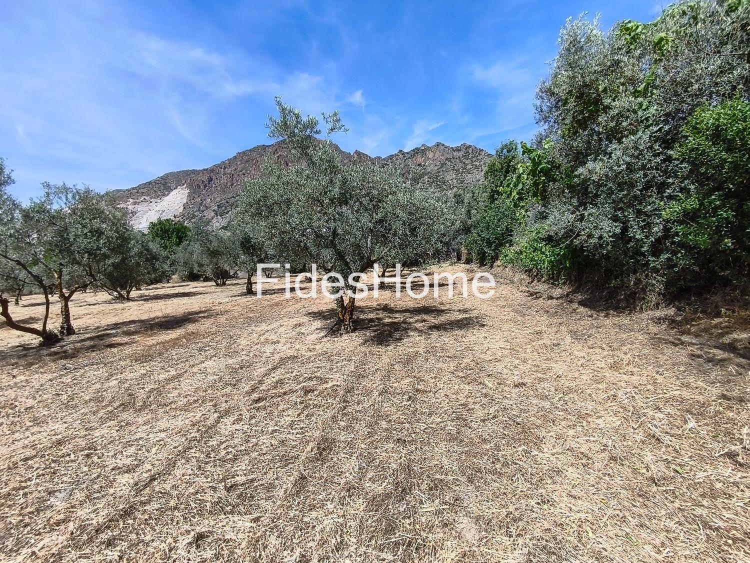 Plot for Sale in Nigüelas