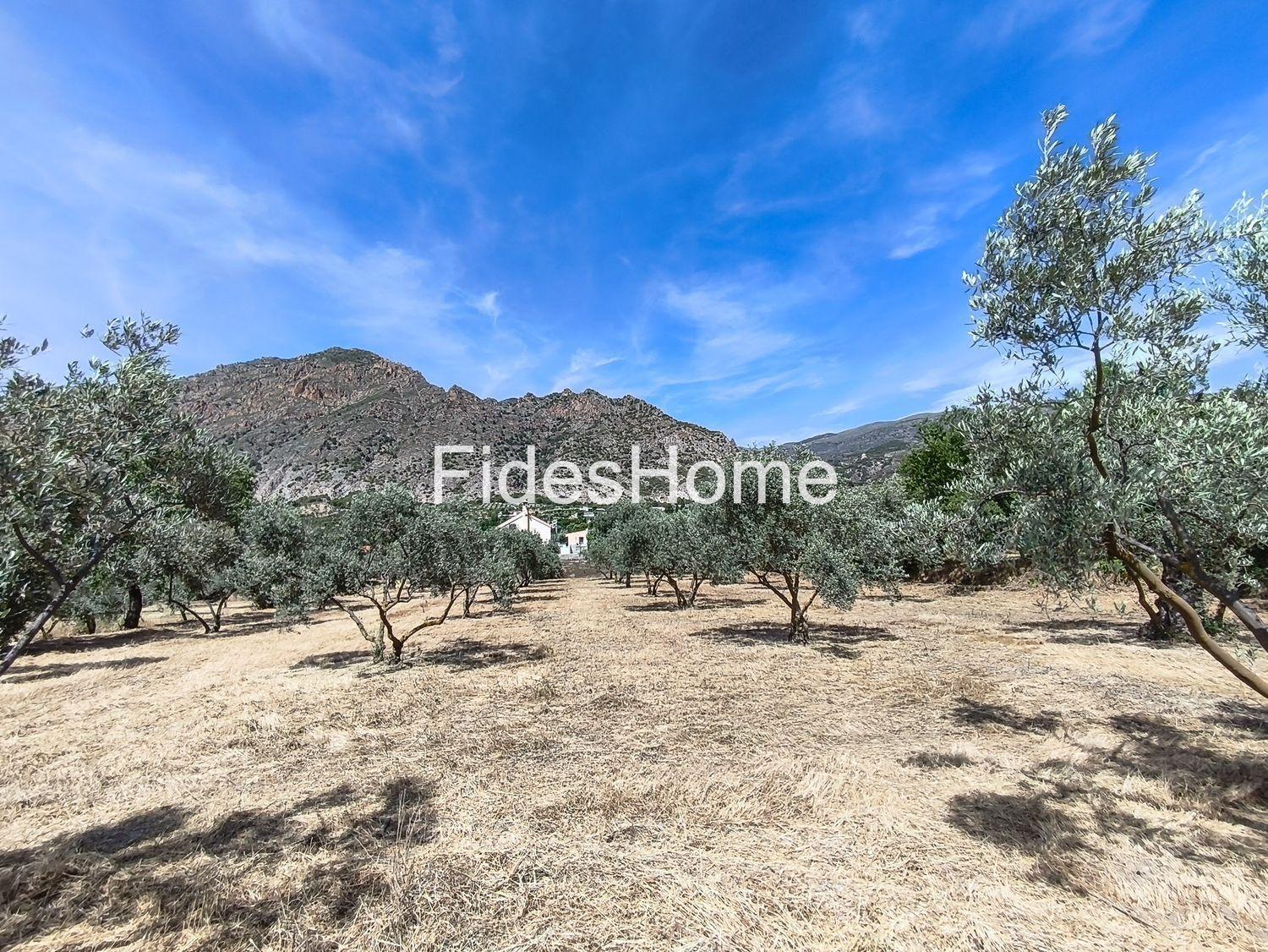 Plot for Sale in Nigüelas