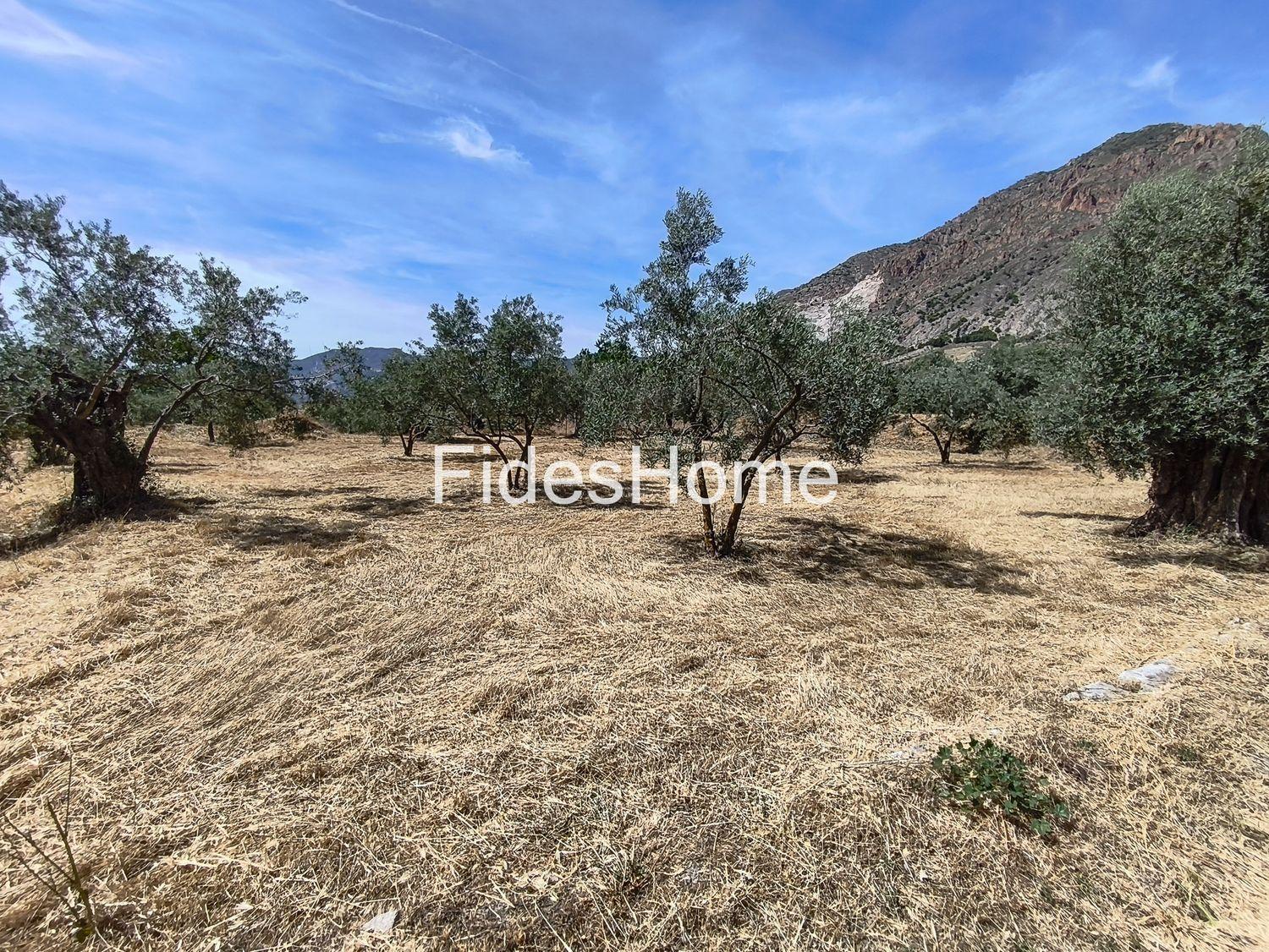 Plot for Sale in Nigüelas