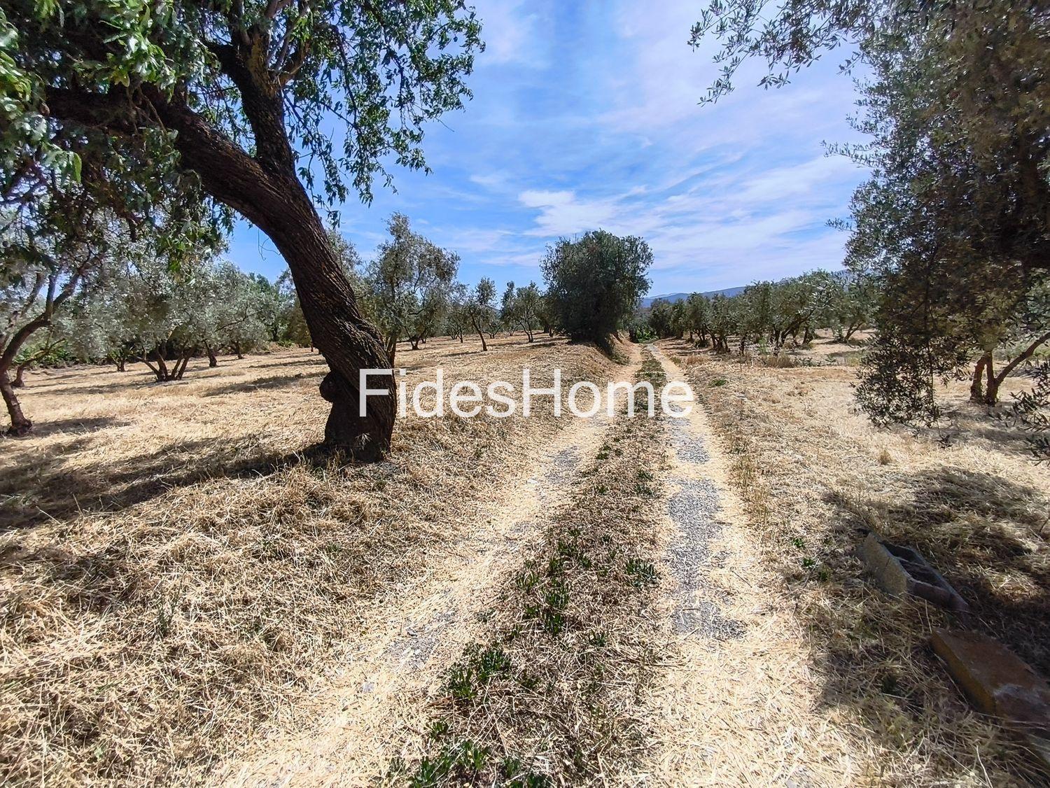 Plot for Sale in Nigüelas