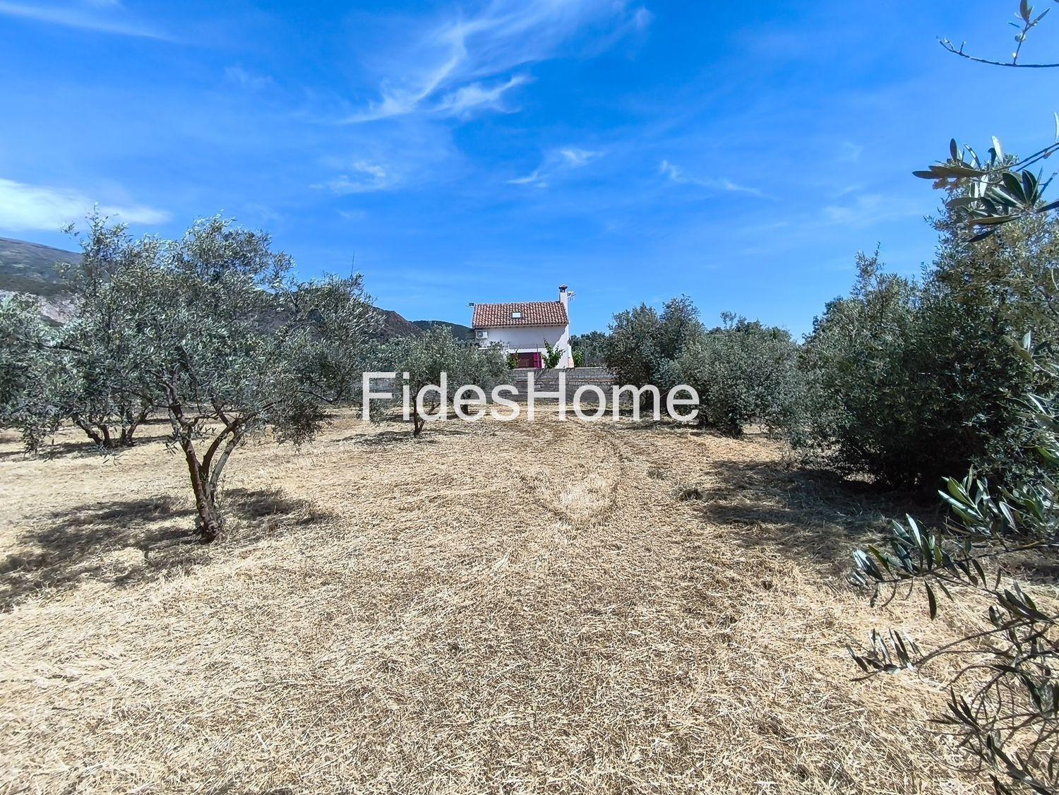 Plot for Sale in Nigüelas